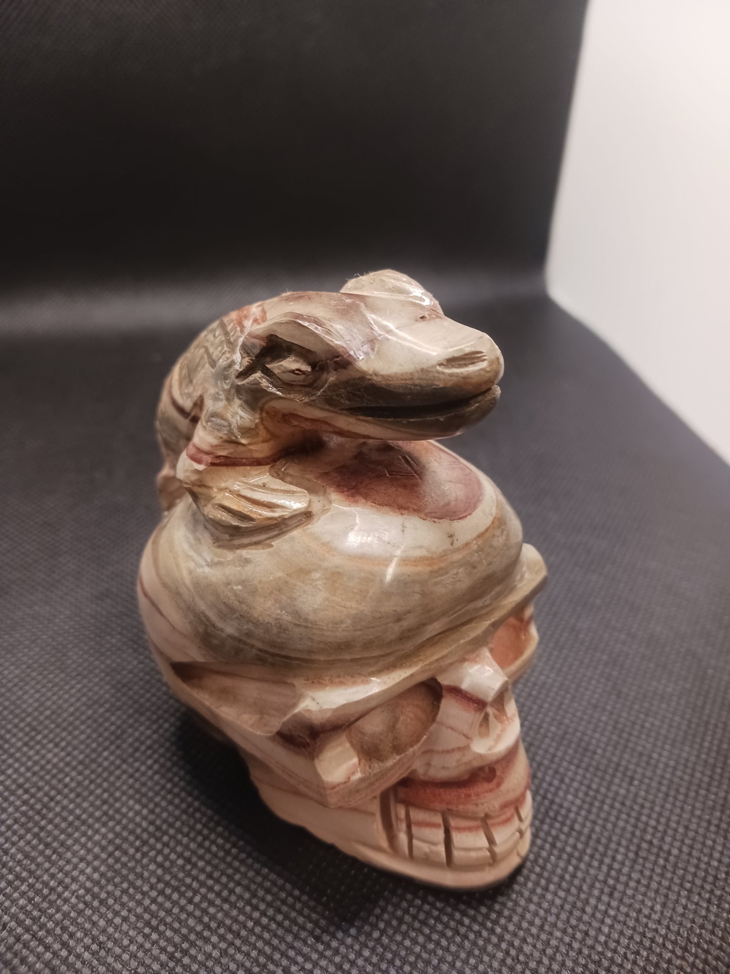 Petrified Wood Skull with Lizard