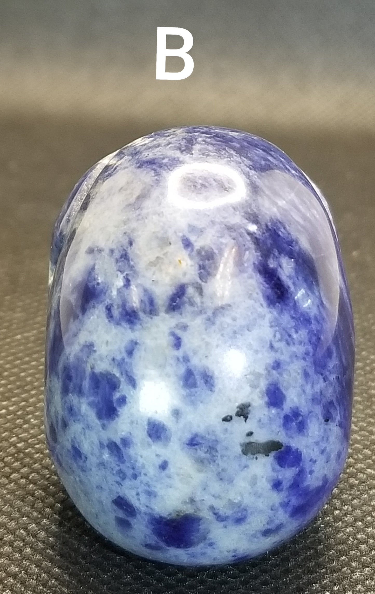 Sodalite Skull Small