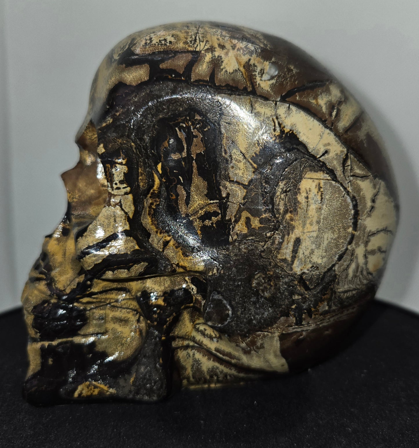 Large Picture Jasper Skull