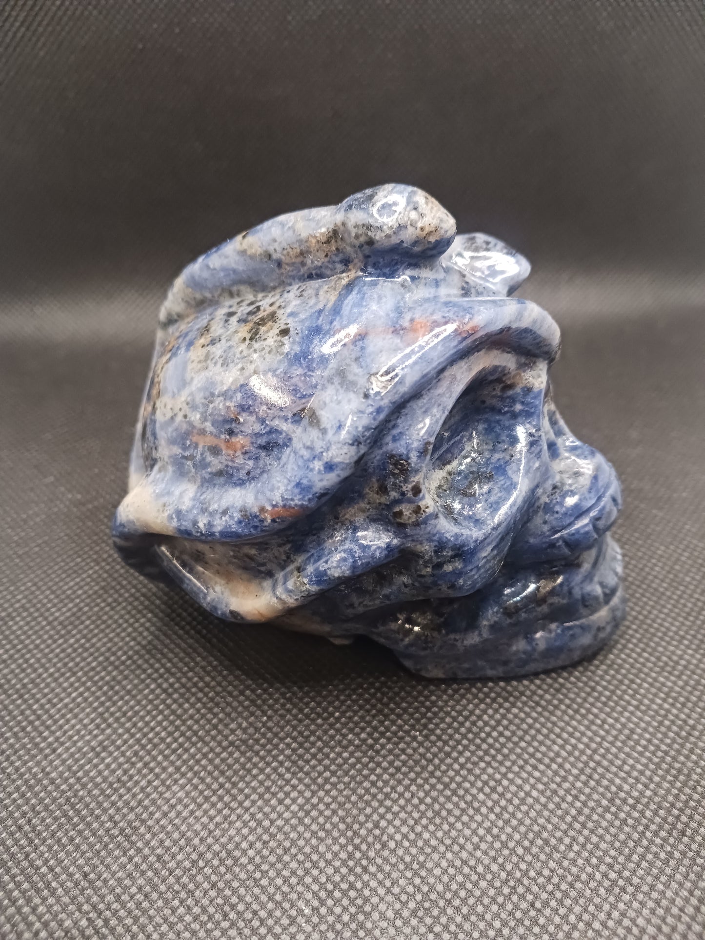 Sodalite Snake Skull