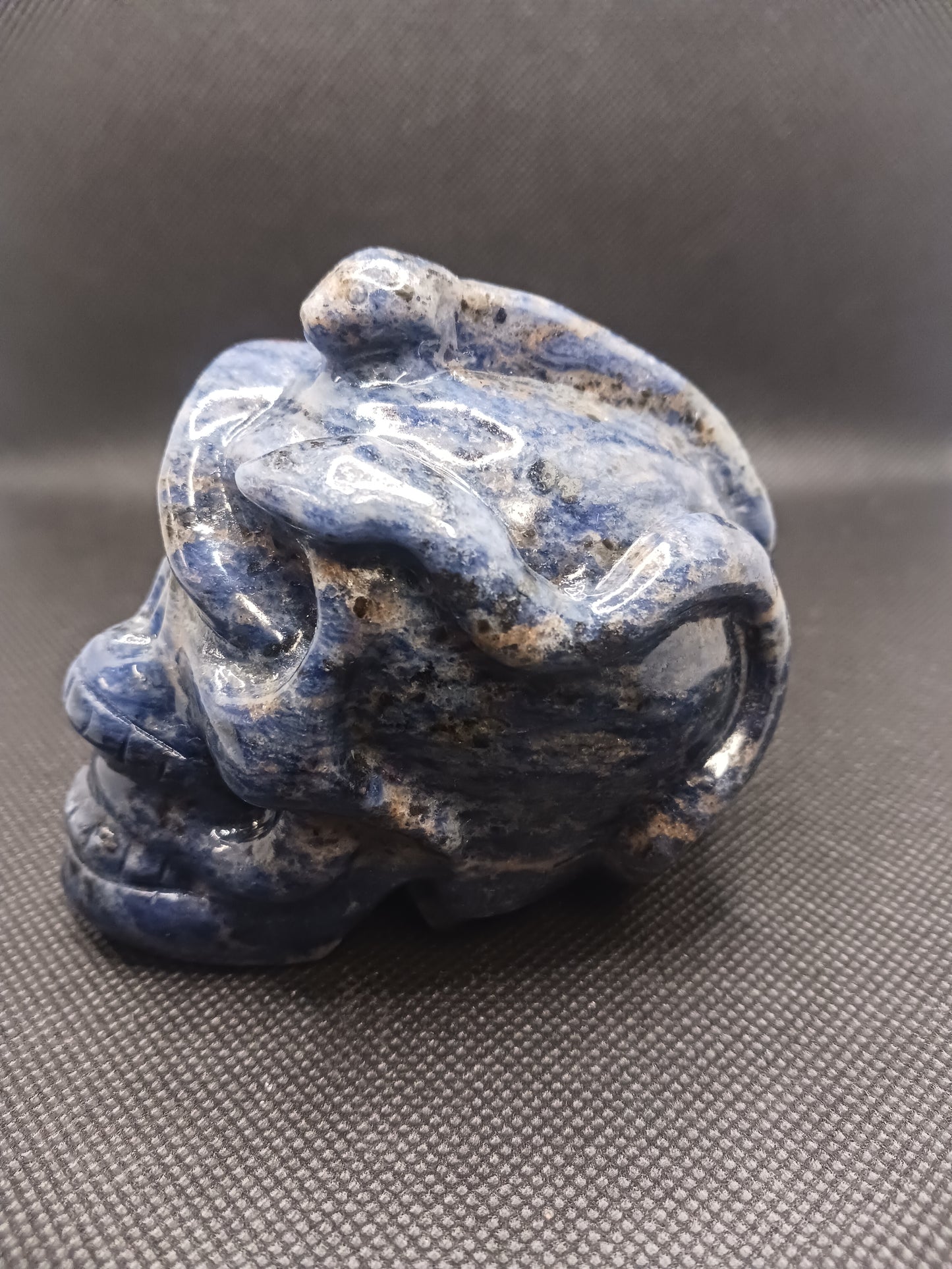 Sodalite Snake Skull