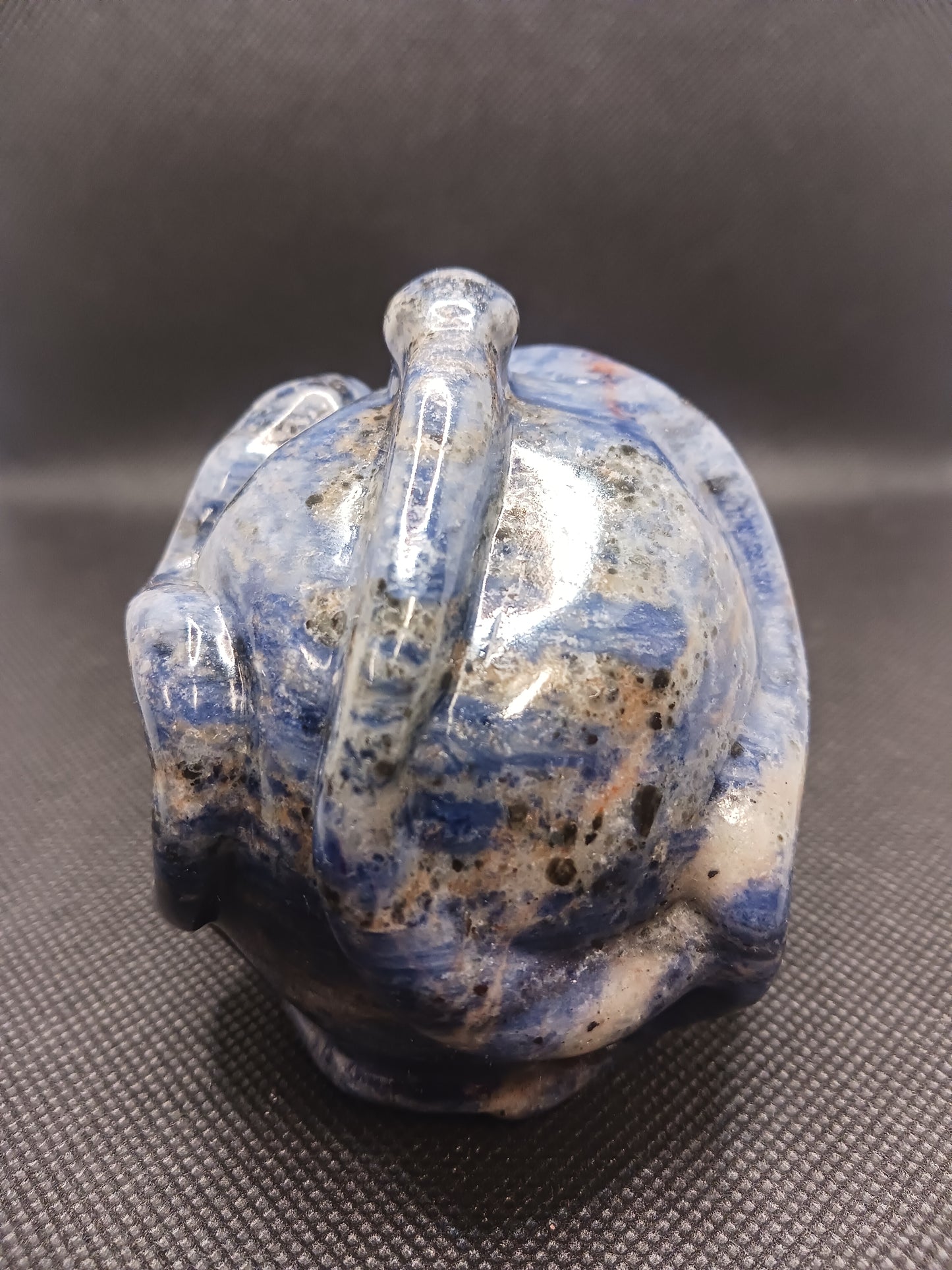 Sodalite Snake Skull