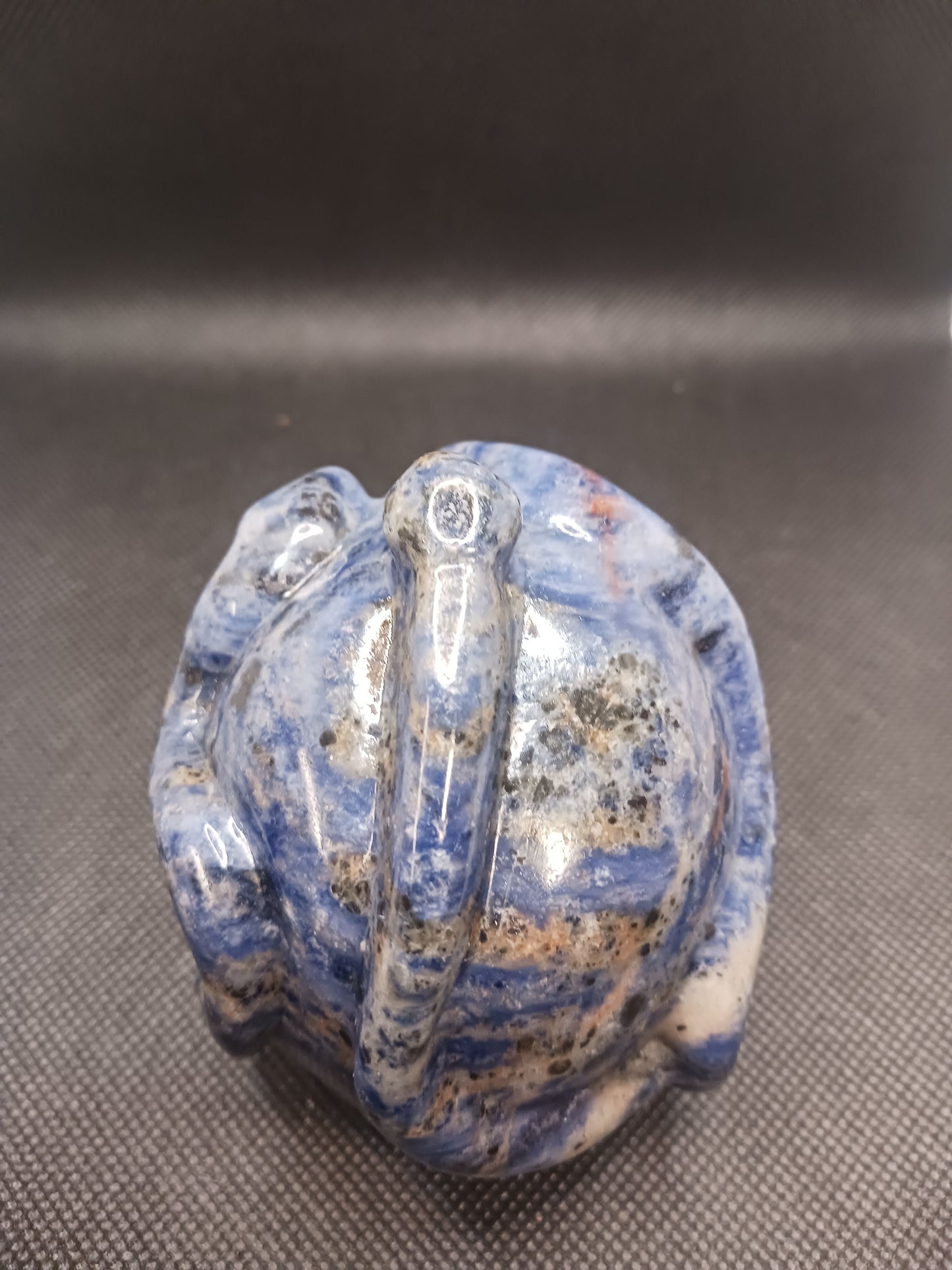 Sodalite Snake Skull