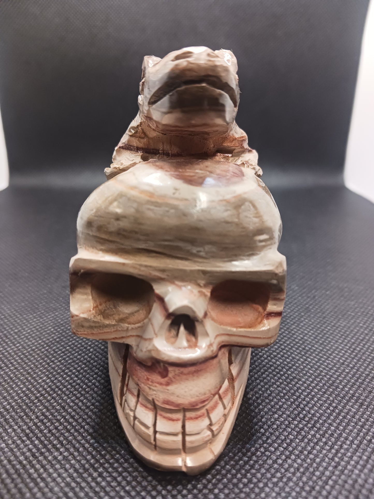 Petrified Wood Skull with Lizard