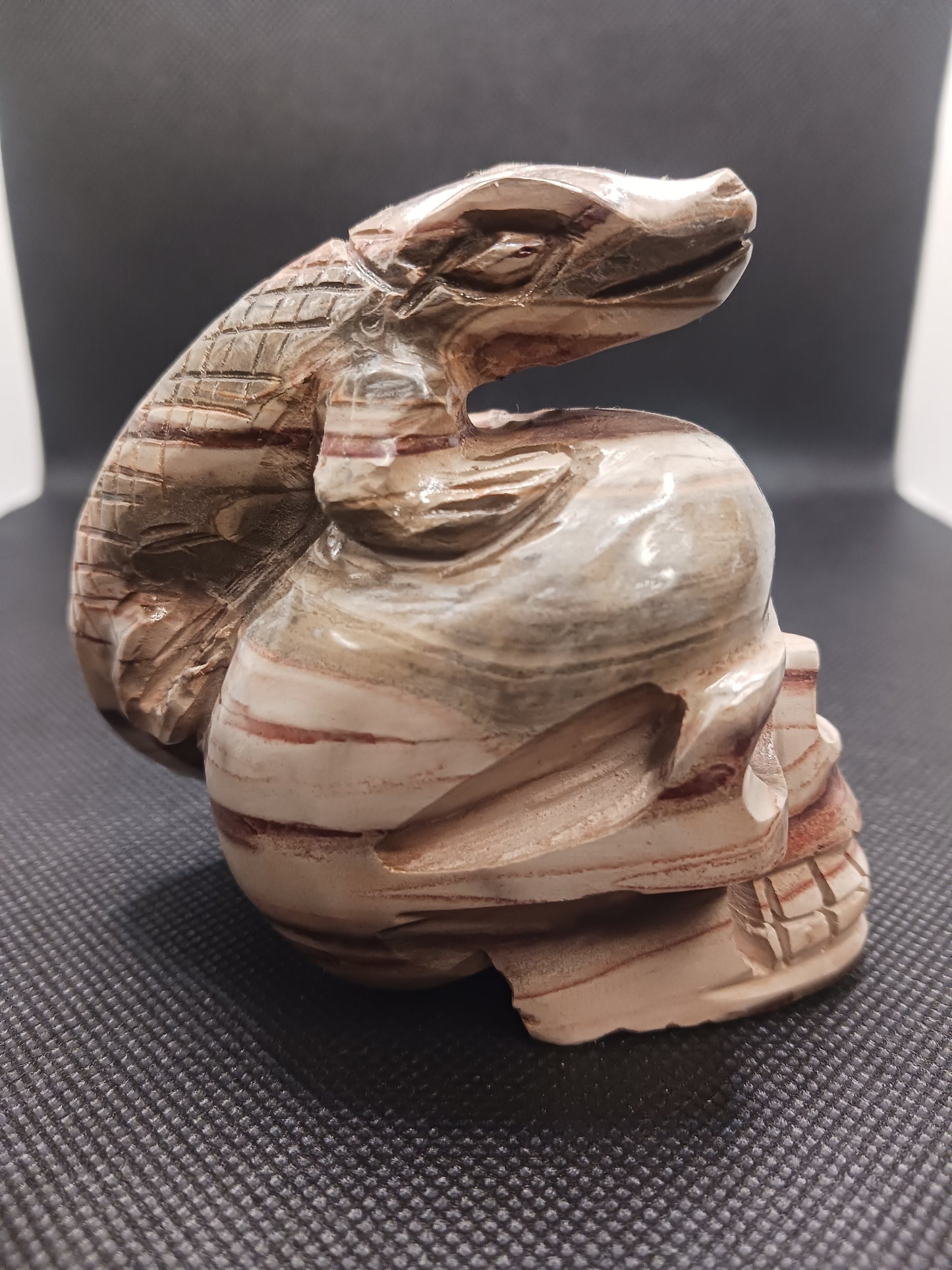Petrified Wood Skull with Lizard