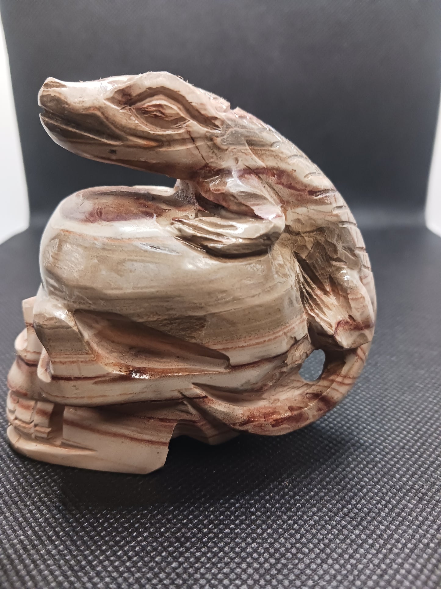 Petrified Wood Skull with Lizard