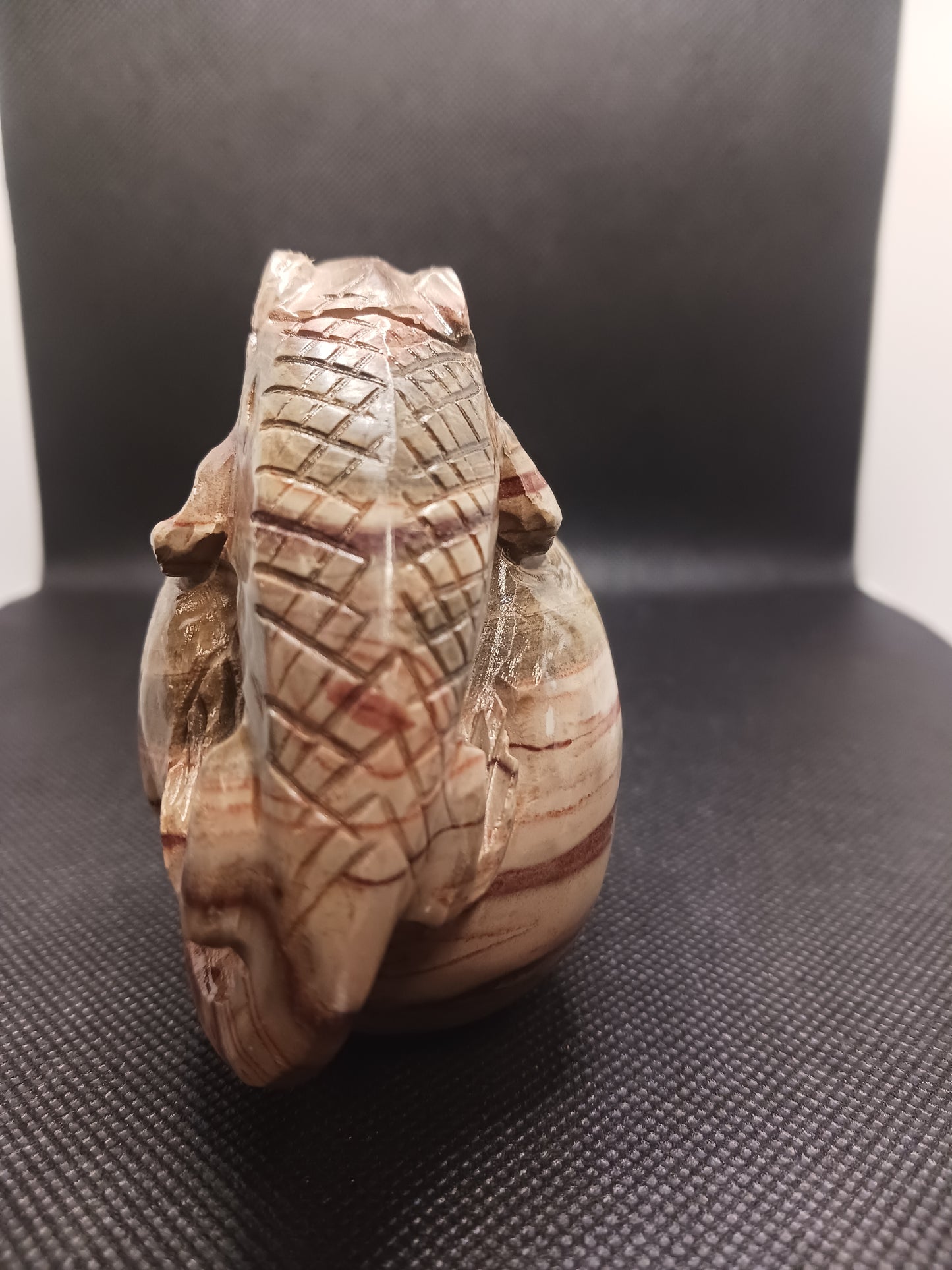 Petrified Wood Skull with Lizard