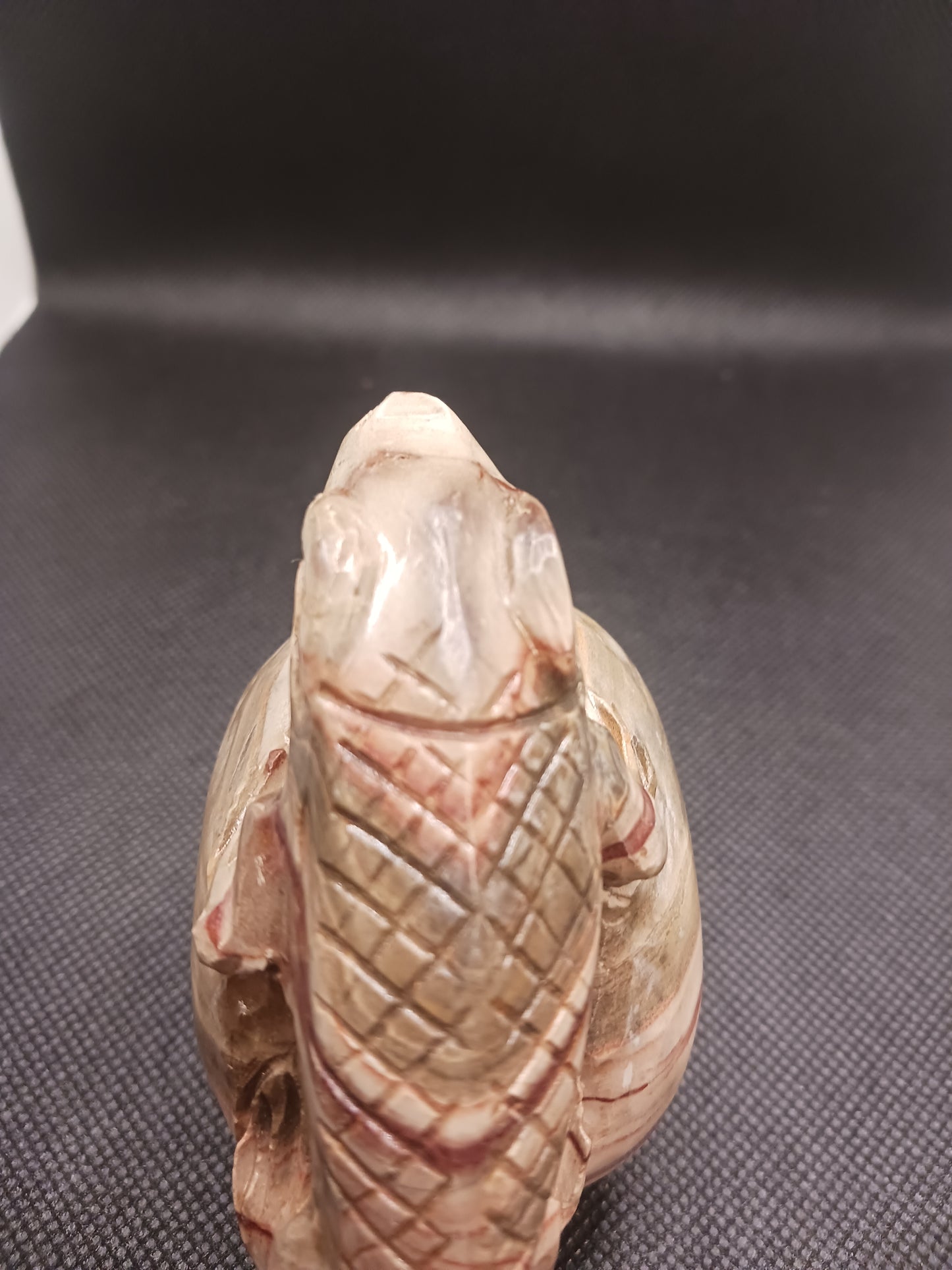 Petrified Wood Skull with Lizard