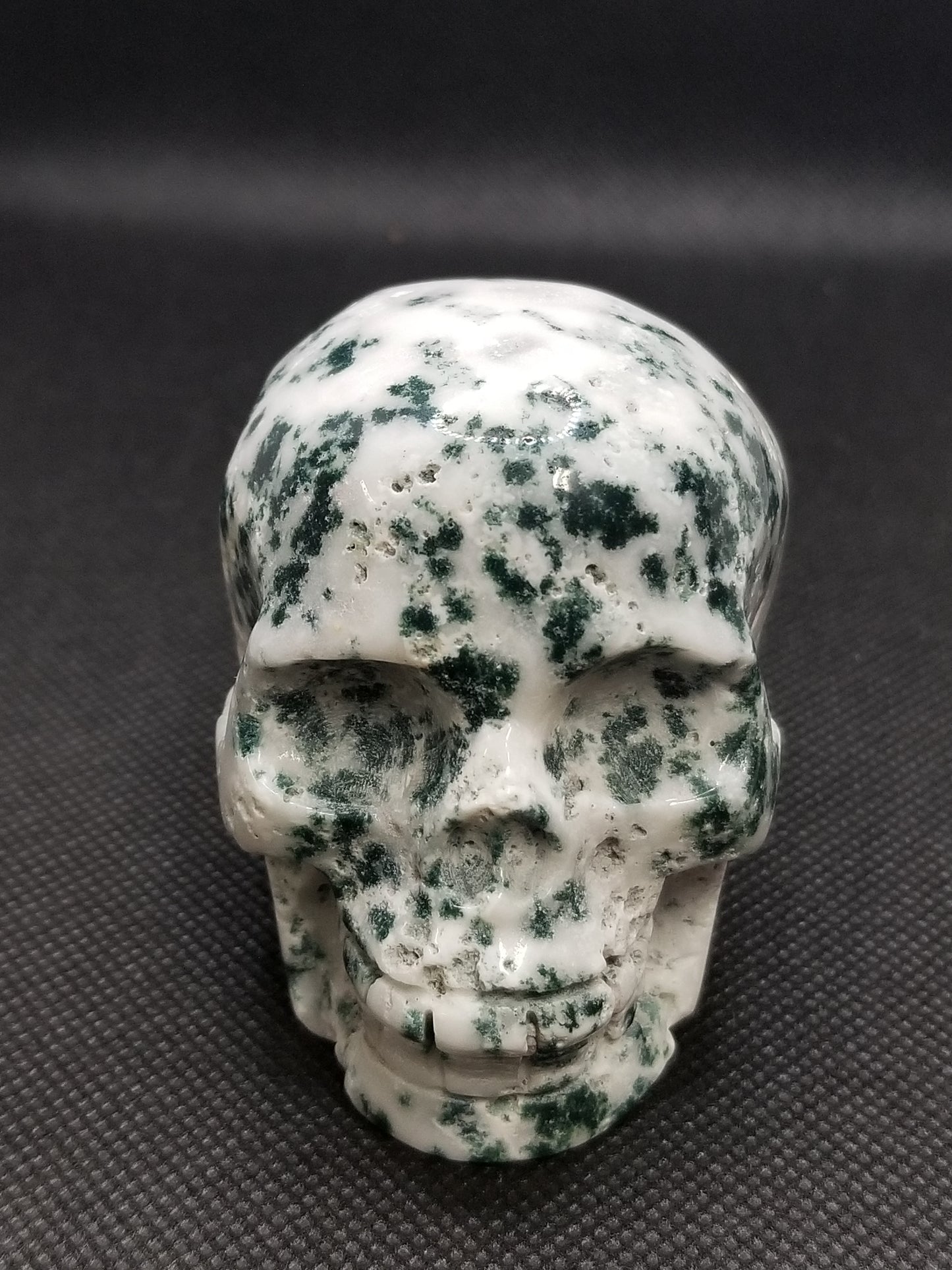 Tree Agate Skull