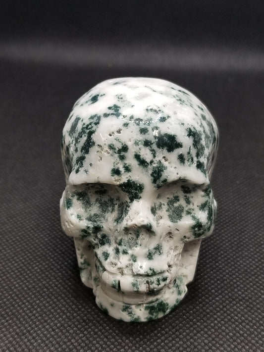 Tree Agate Skull