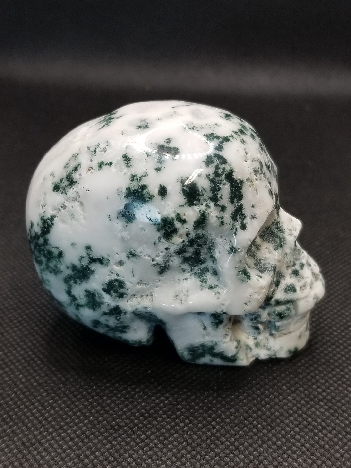 Tree Agate Skull