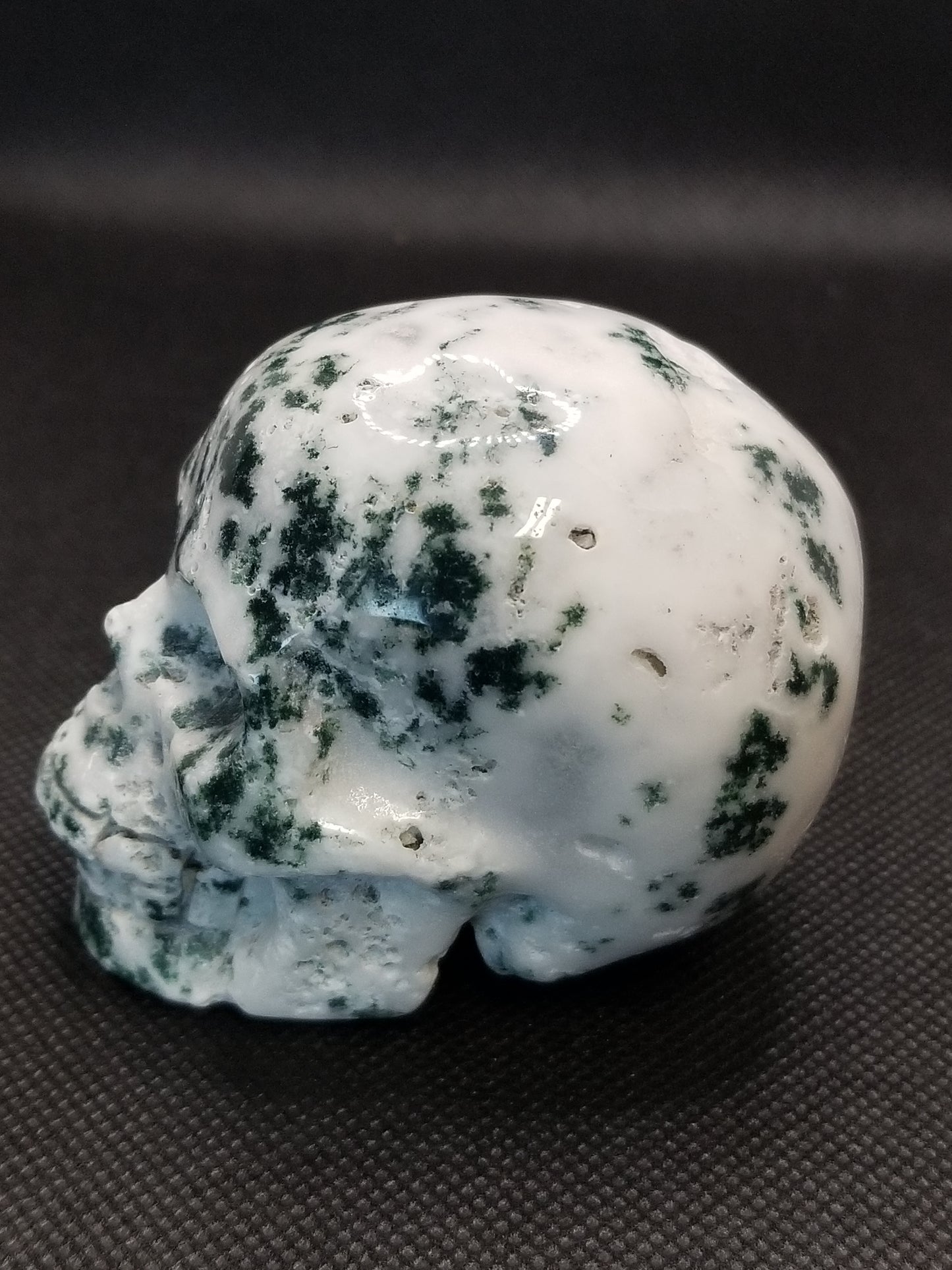 Tree Agate Skull