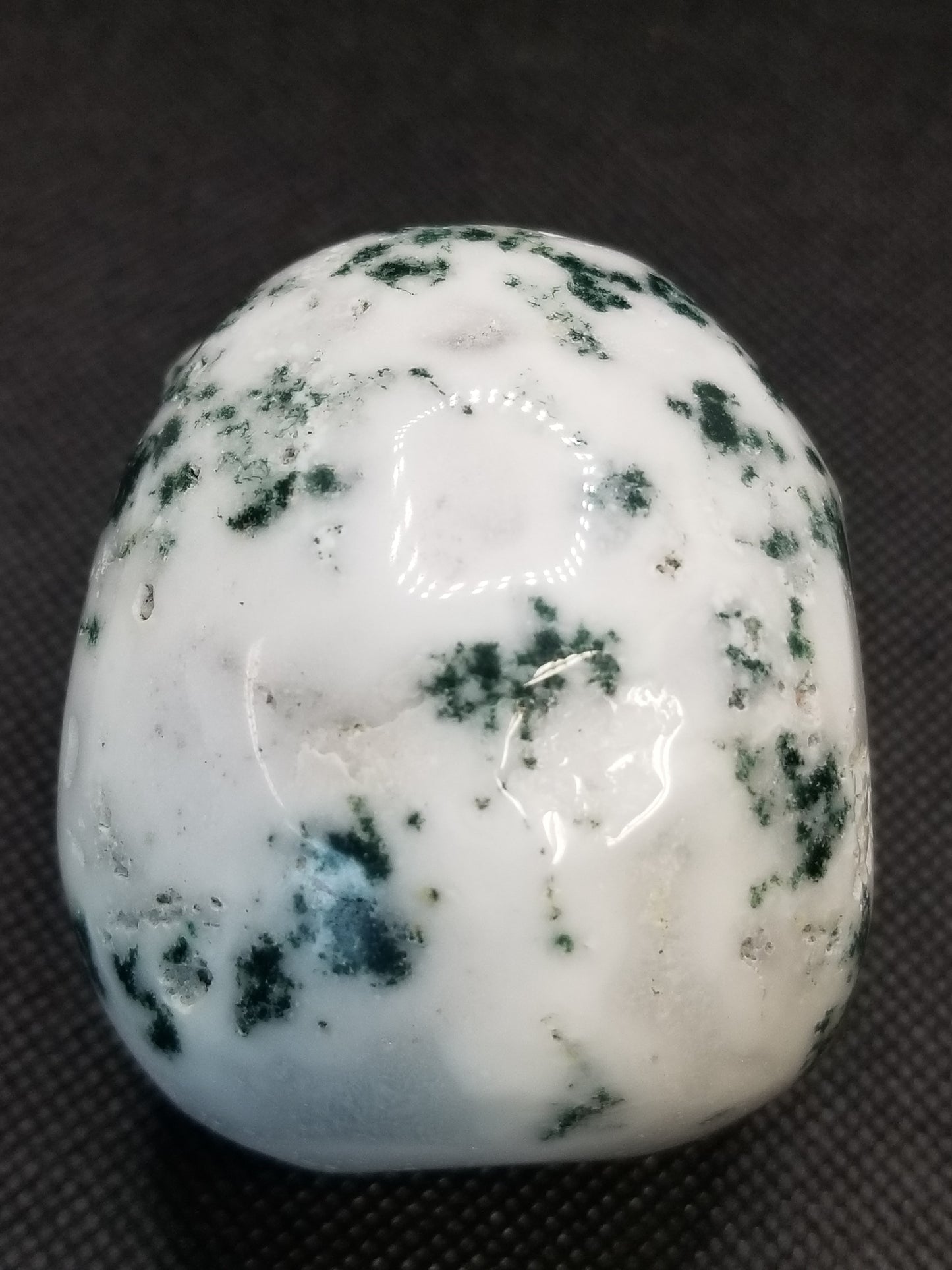 Tree Agate Skull
