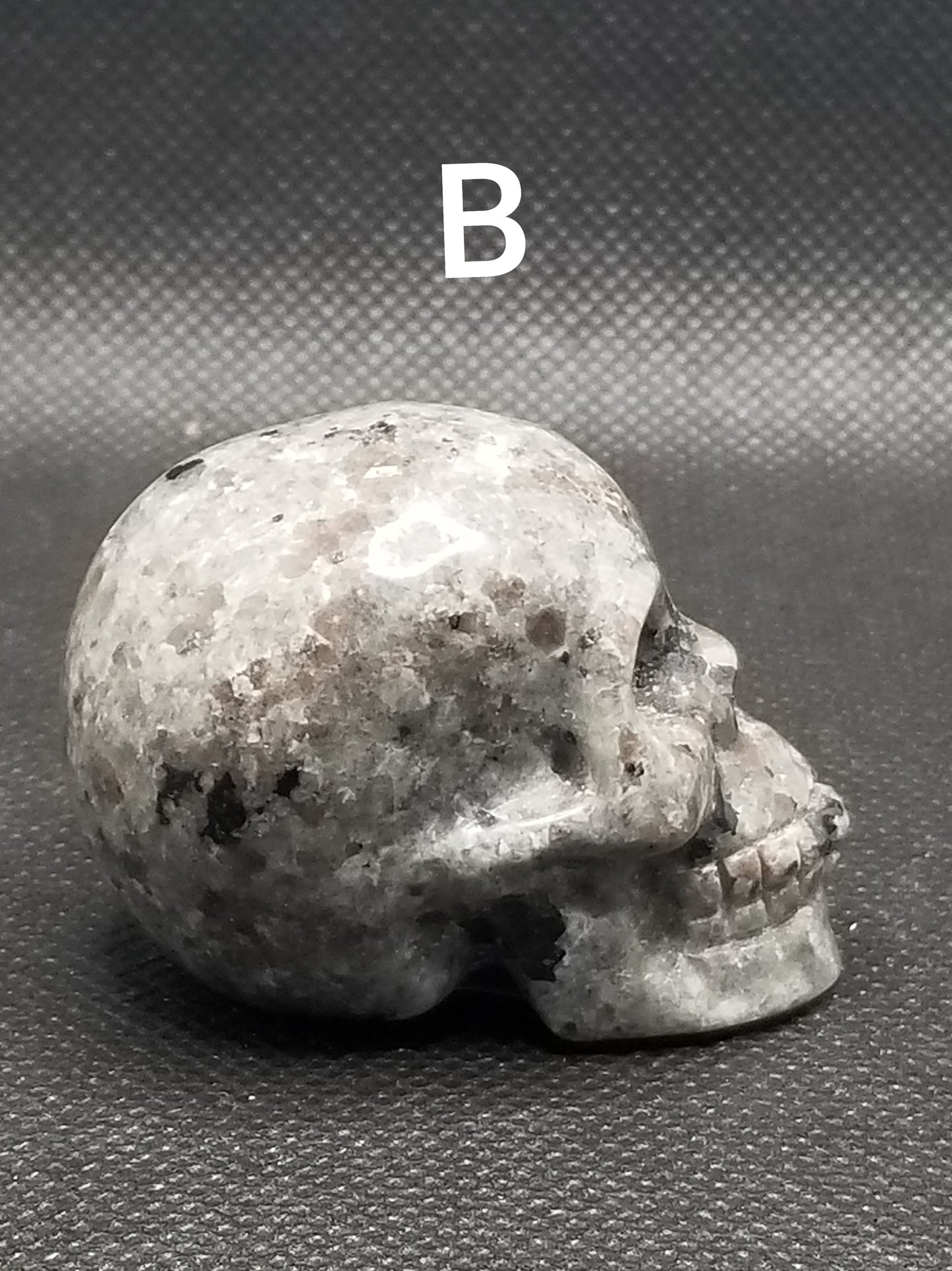 Yooperlite Small Skulls