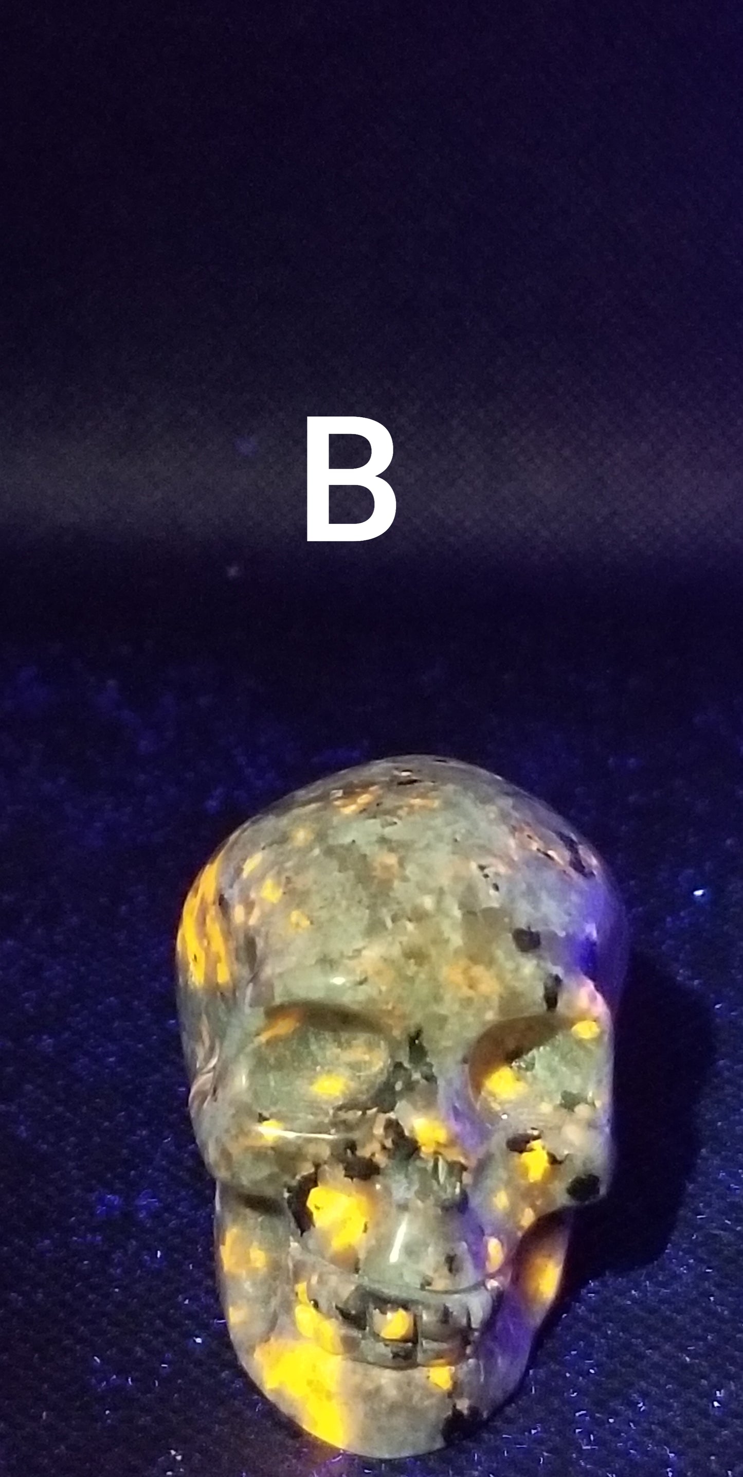 Yooperlite Small Skulls