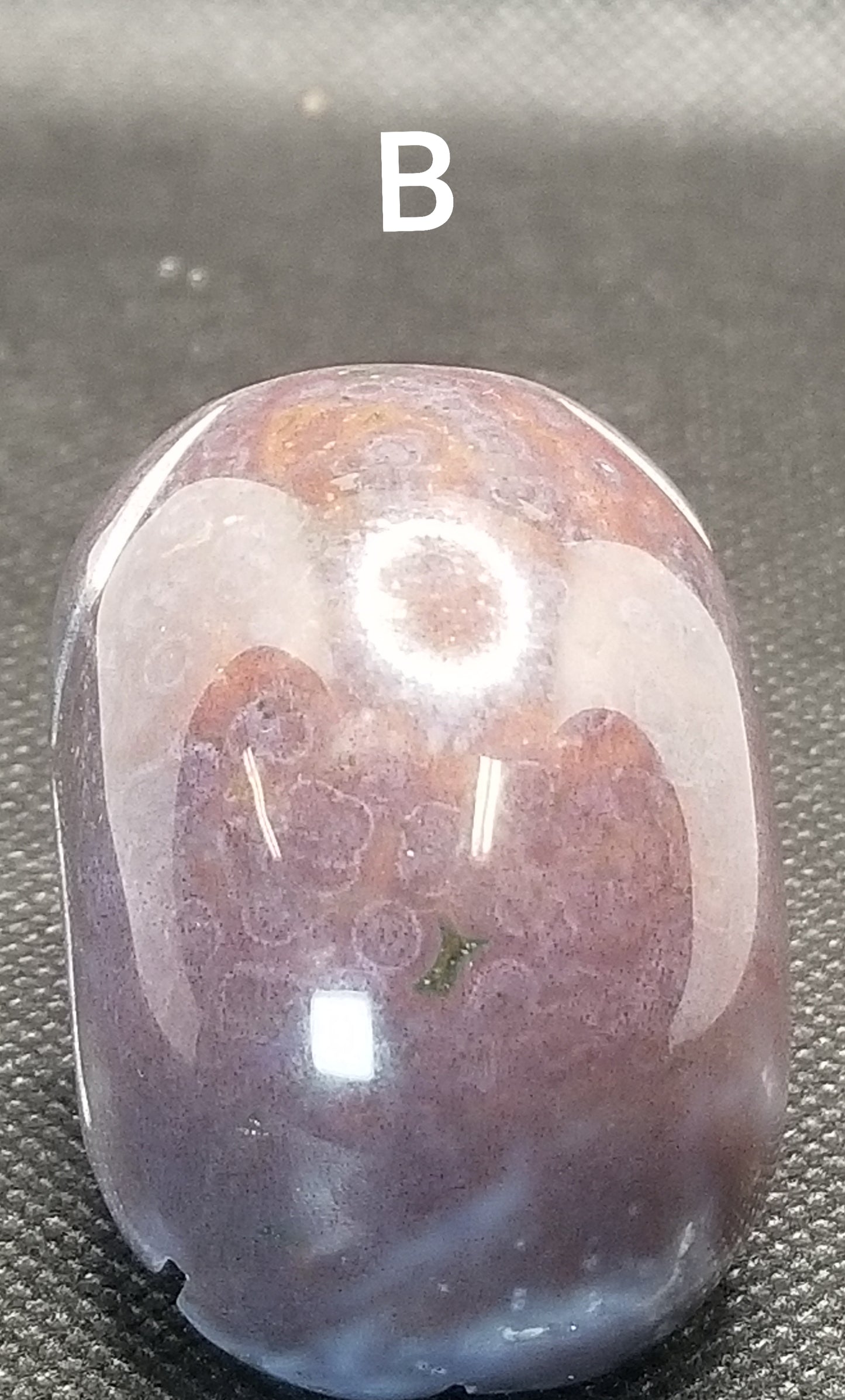 Small Ocean Jasper Skulls