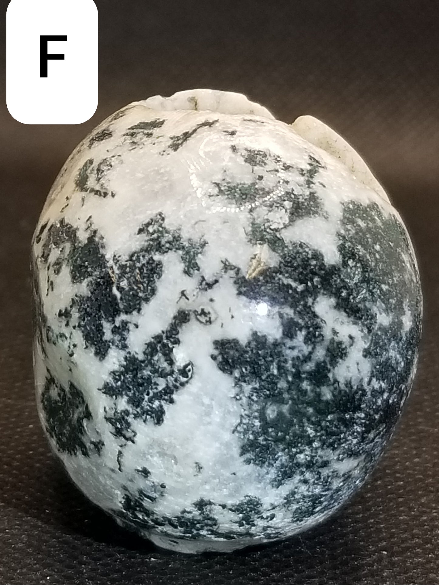 Moss Agate Skulls Small