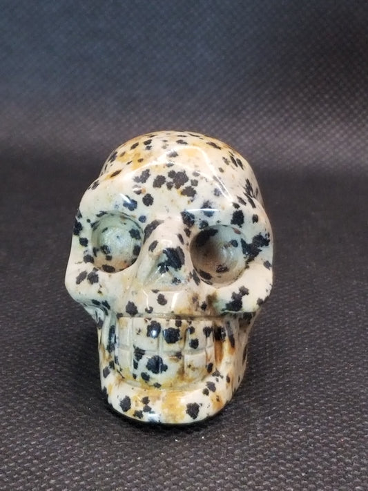 Dalmatian Jasper Skull Small