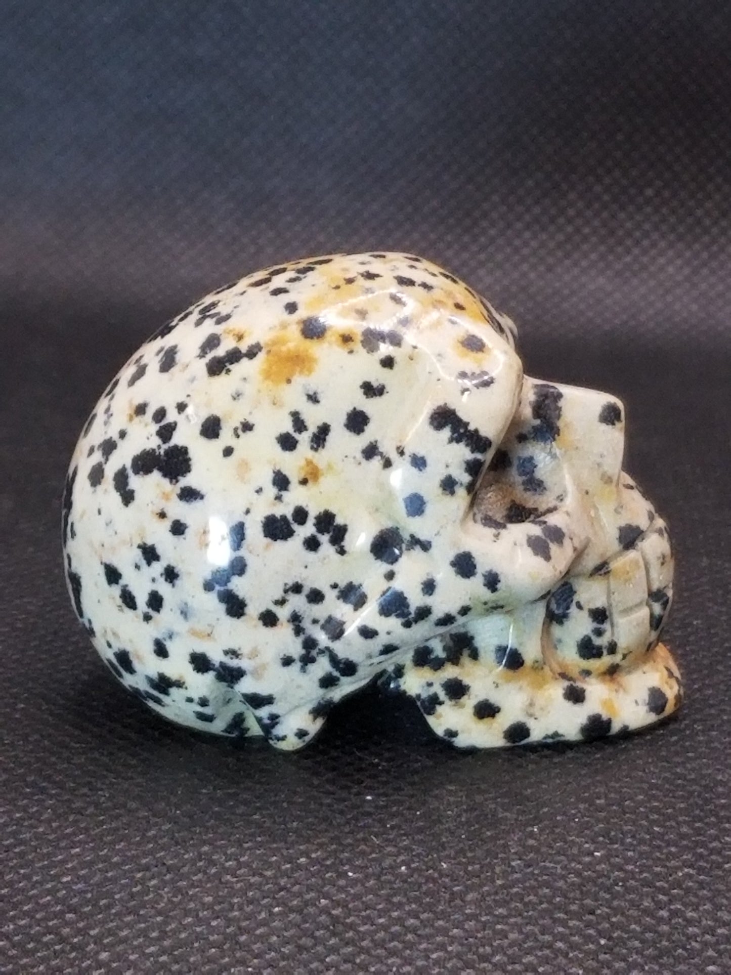 Dalmatian Jasper Skull Small