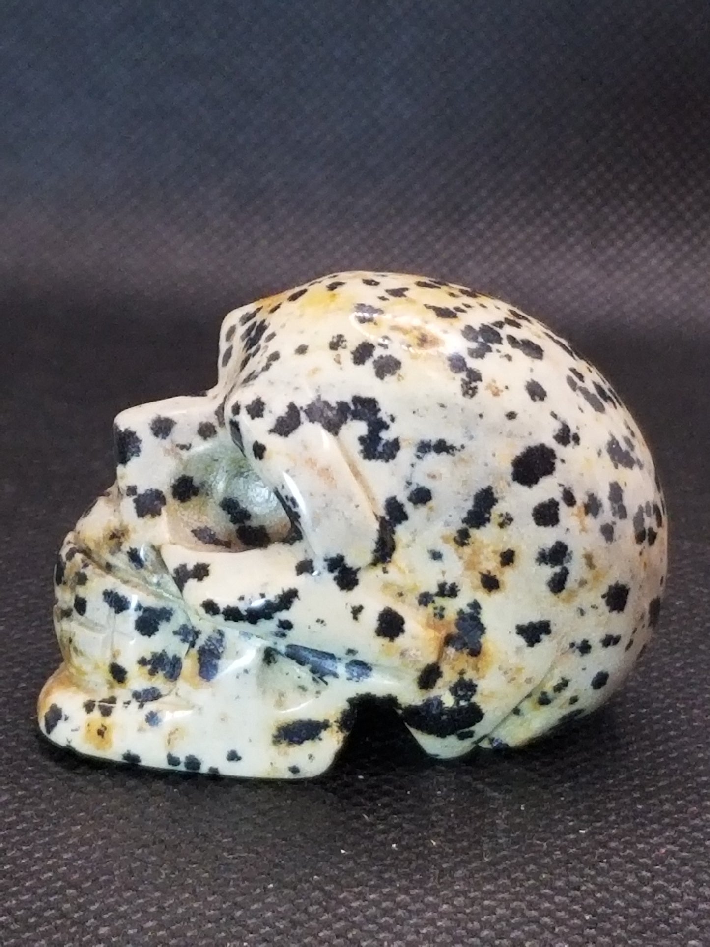Dalmatian Jasper Skull Small
