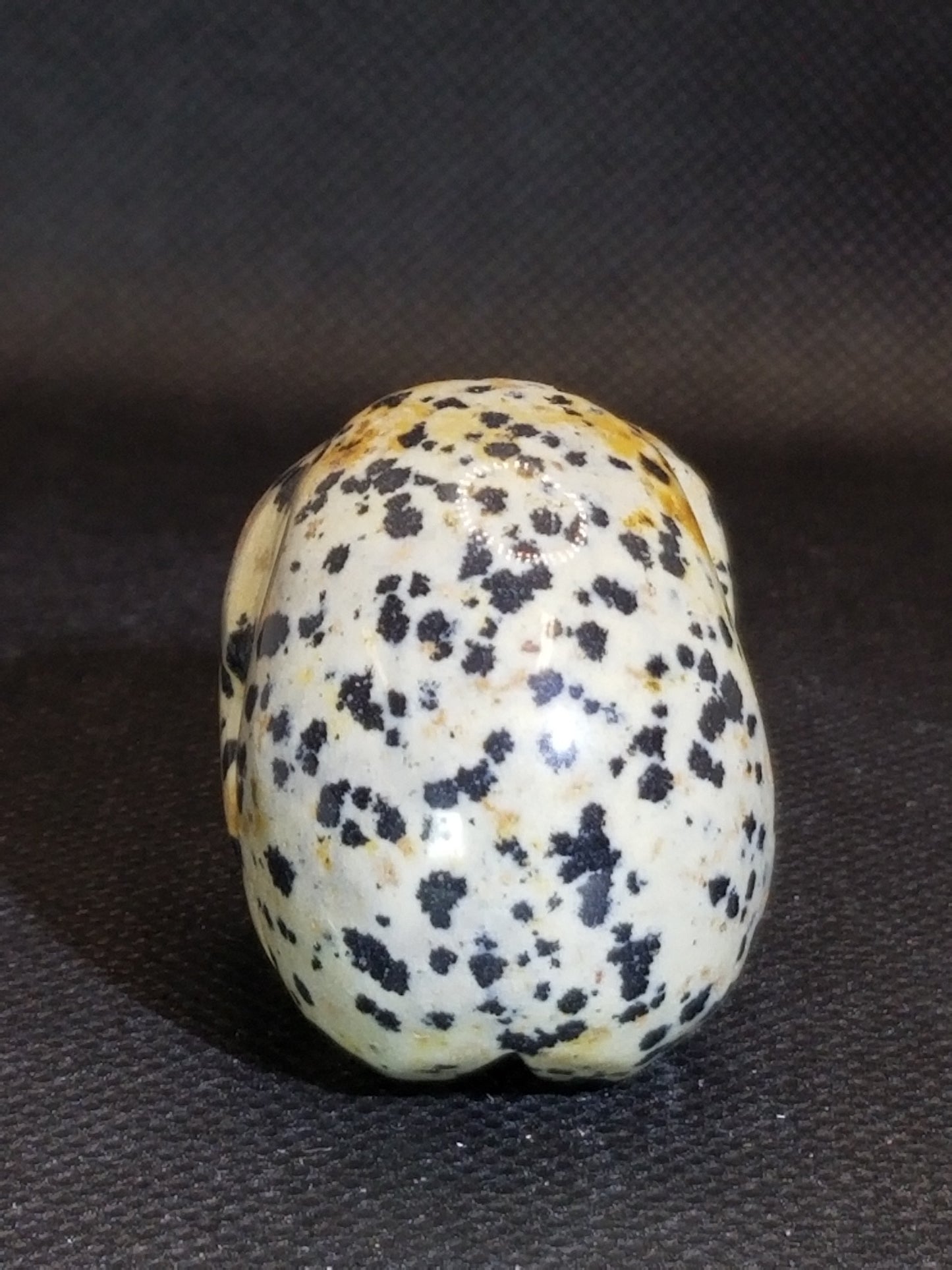 Dalmatian Jasper Skull Small