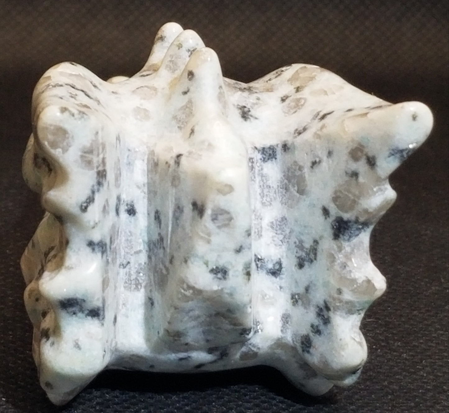 Kiwi Jasper Dragon Head