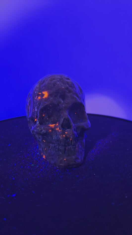 Yooperlite Skull with Design F (UV Reactive)