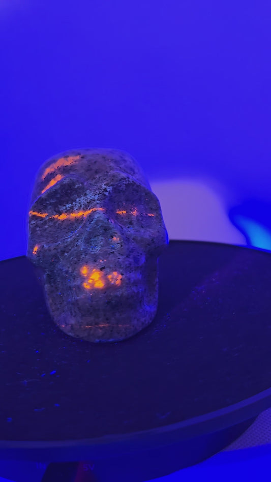 Yooperlite Skull G (UV Reactive)