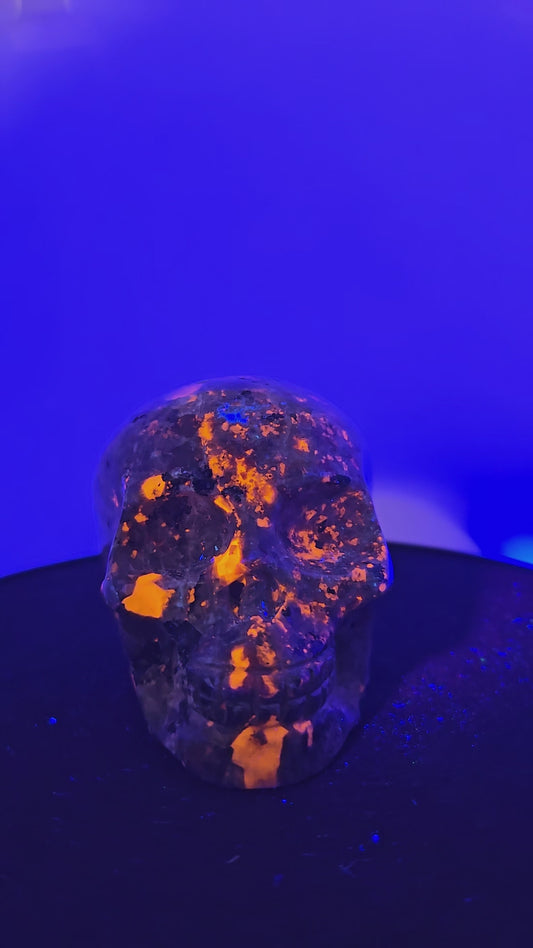 Yooperlite Skull E (UV Reactive)