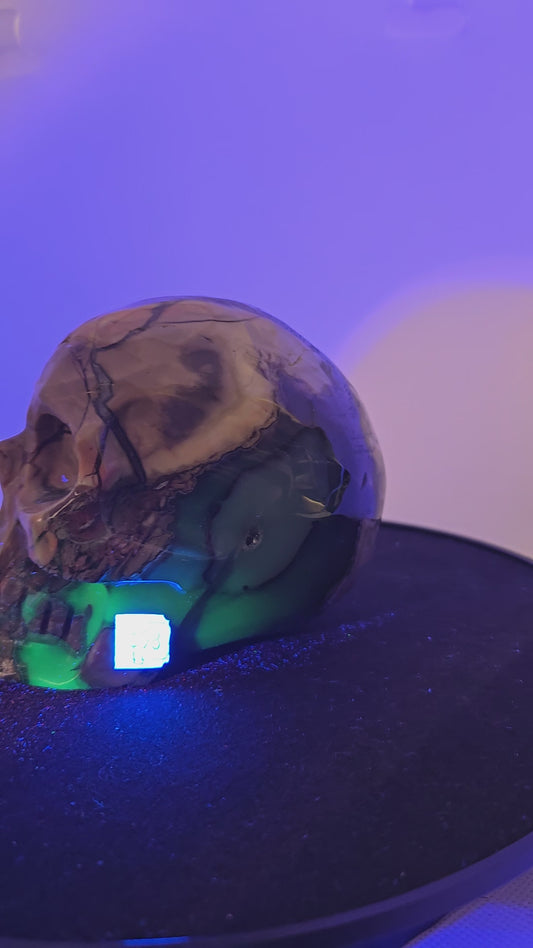 Volcanic Agate Skull D (chipped nose) UV Reactive