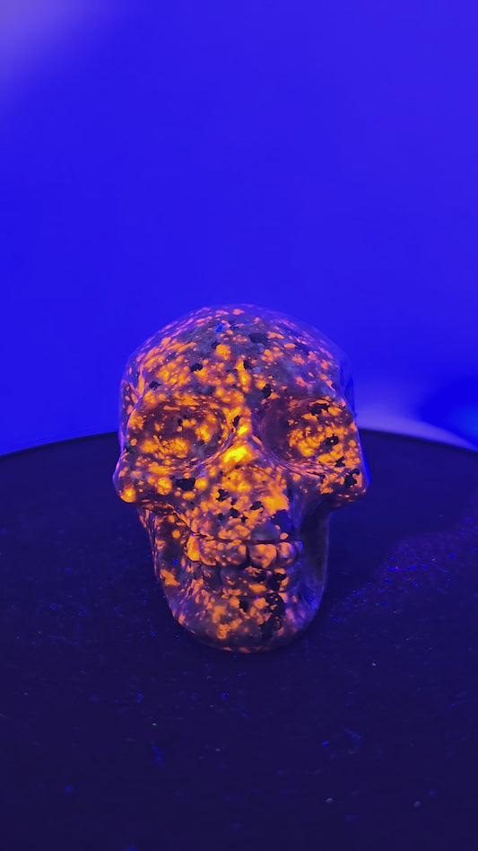 Yooperlite Skull B (UV Reactive)