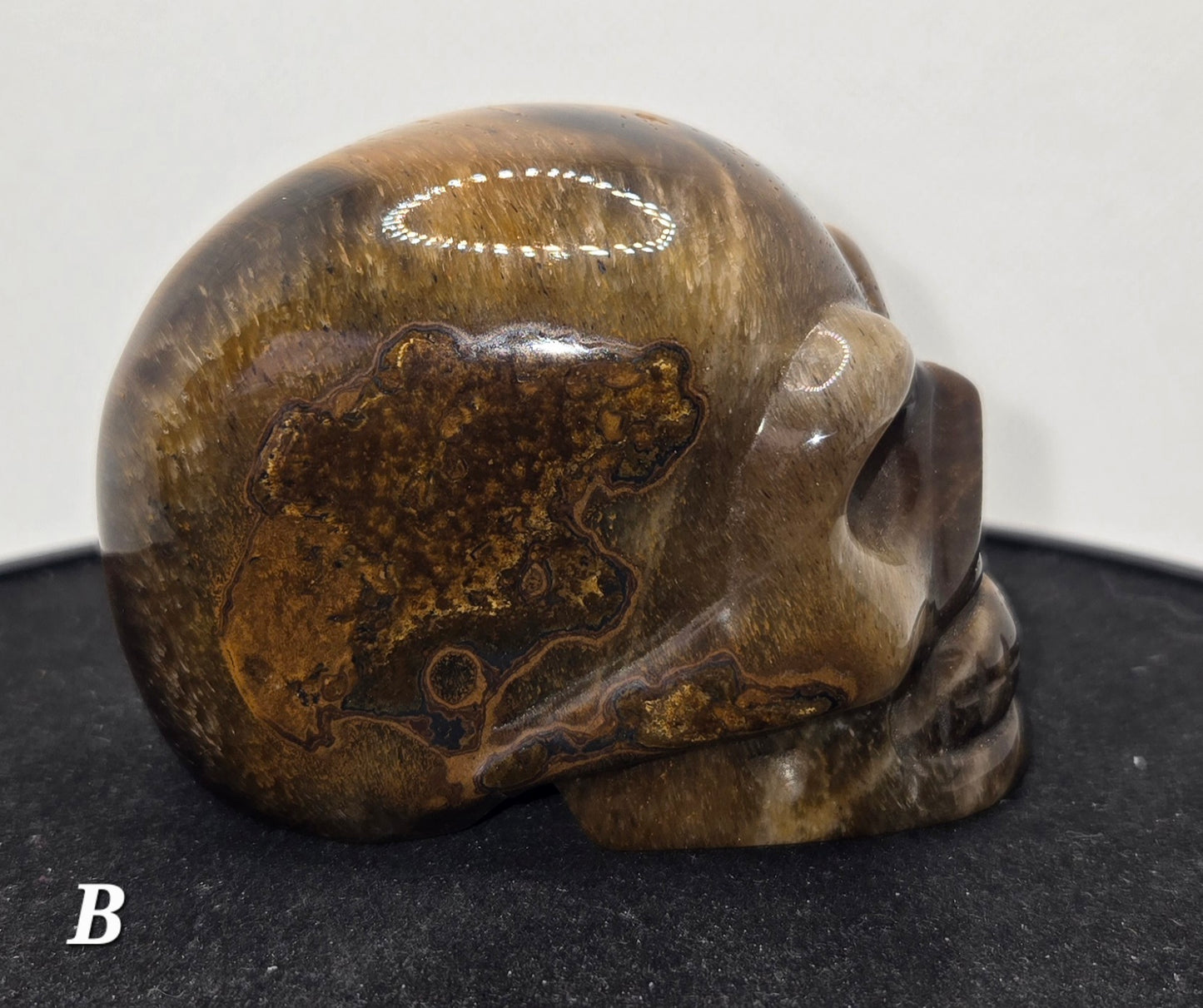 Tigers Eye Skull B
