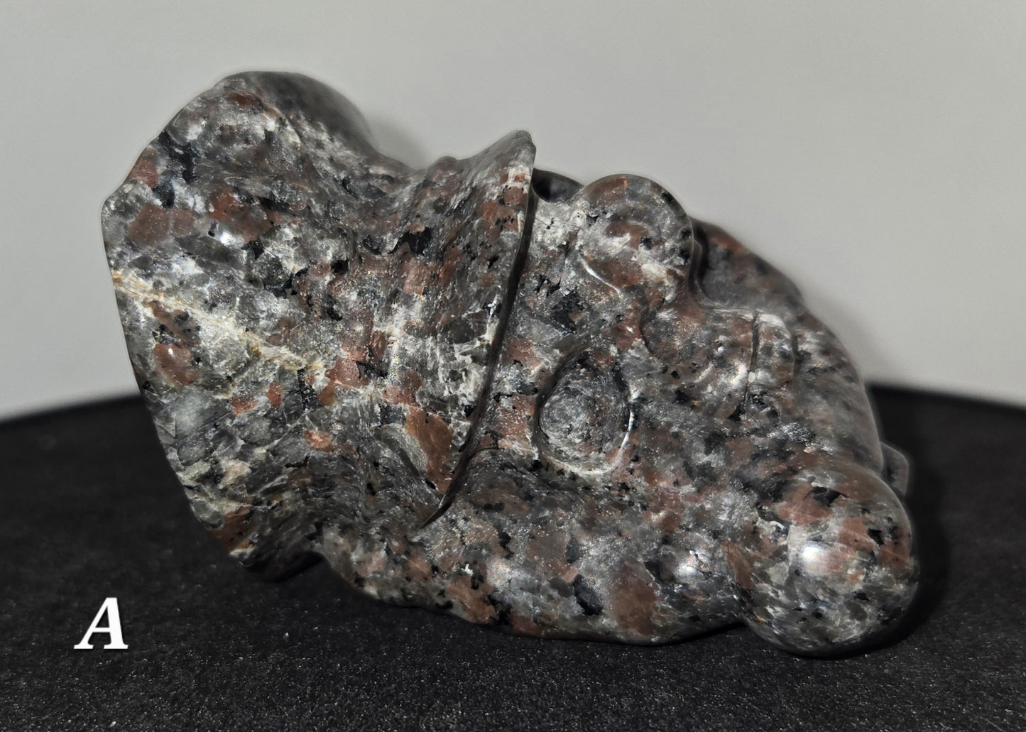 Pirate Skull in Skeletal Hand