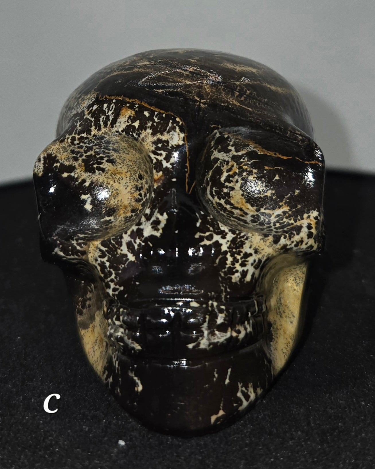 Picture Jasper Skull C