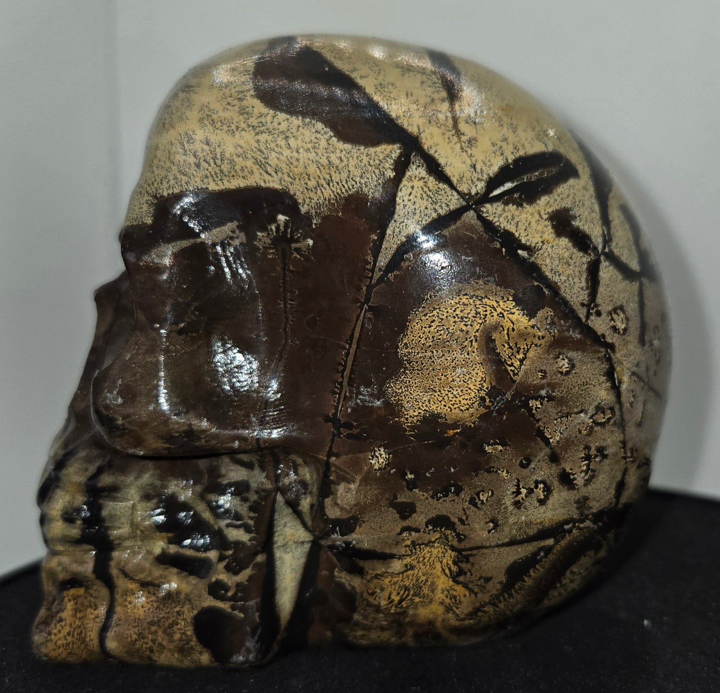 Large Picture Jasper Skull