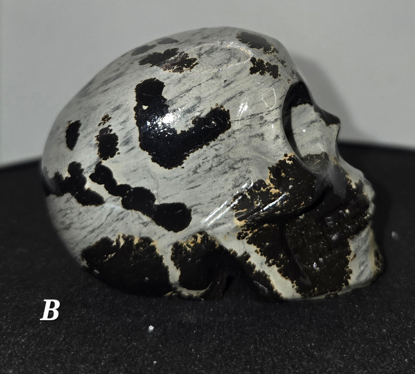 Picture Jasper Skull B
