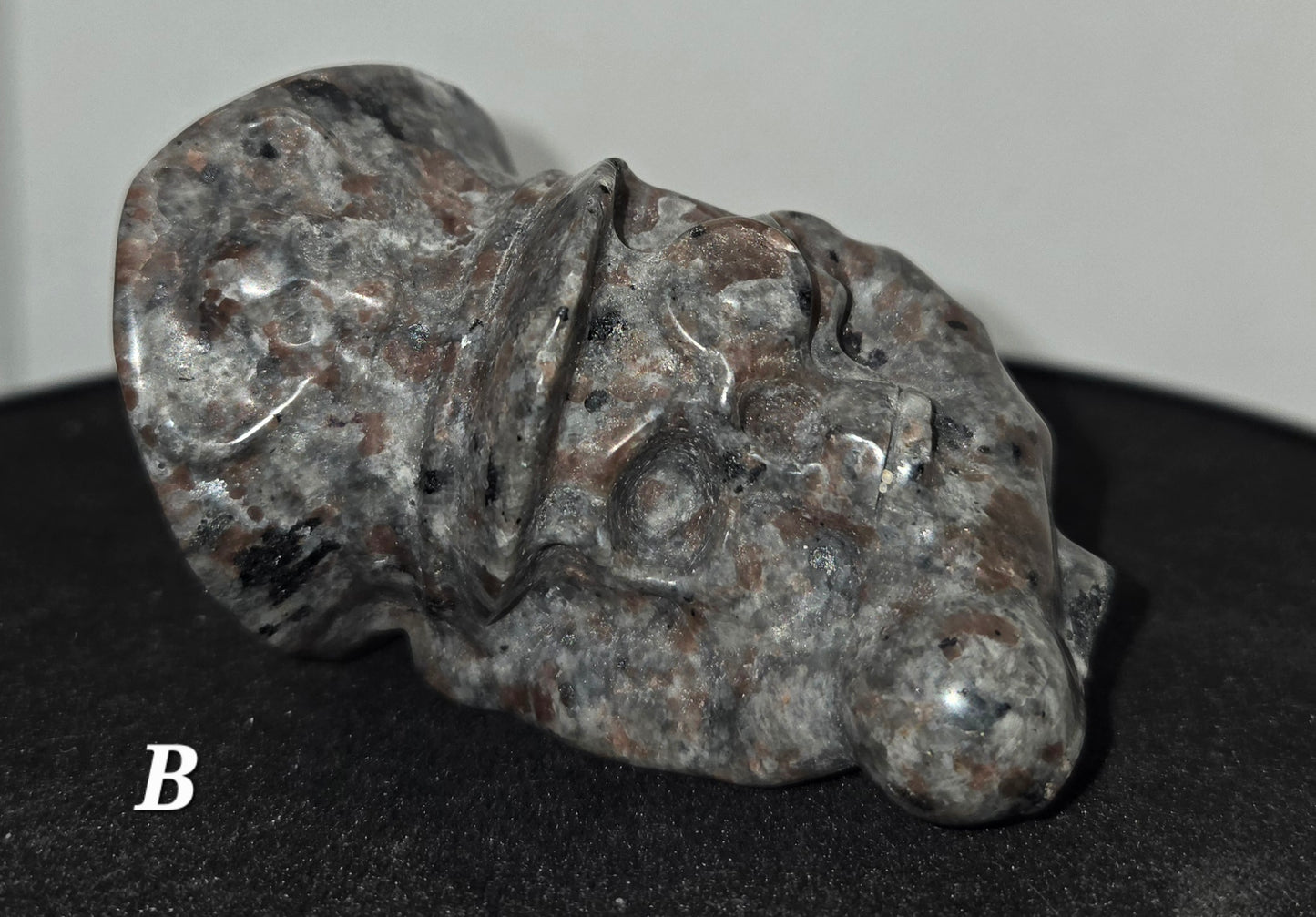 Pirate Skull in Skeletal Hand