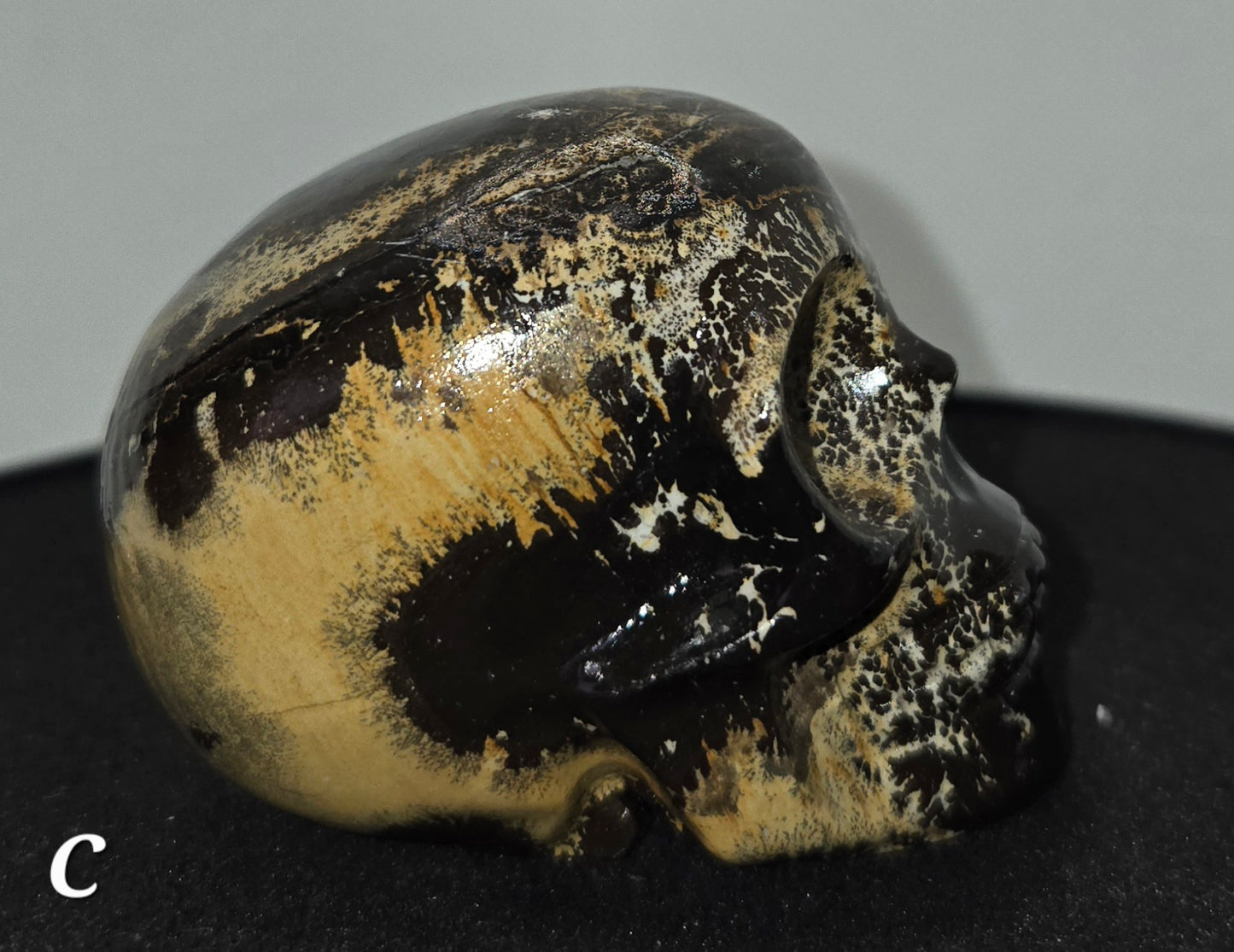 Picture Jasper Skull C