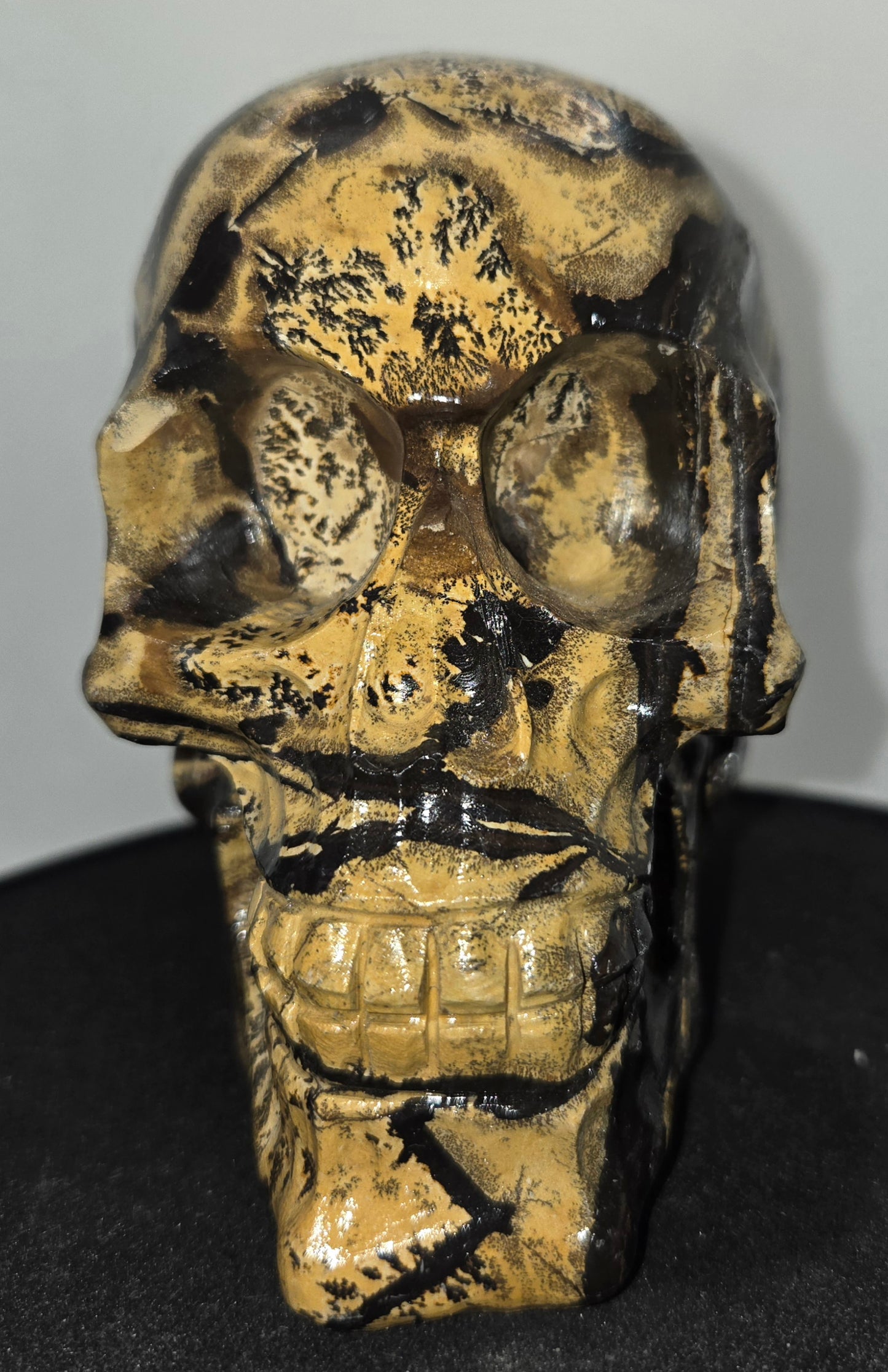 Large Picture Jasper Skull