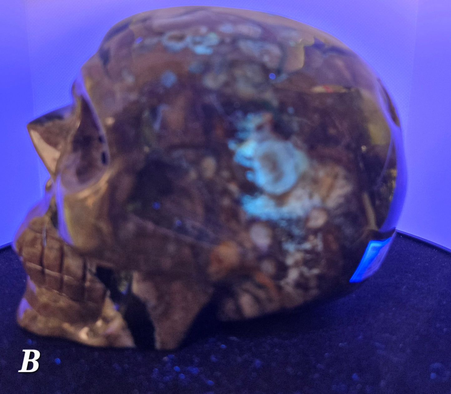 Volcanic Agate Skull B