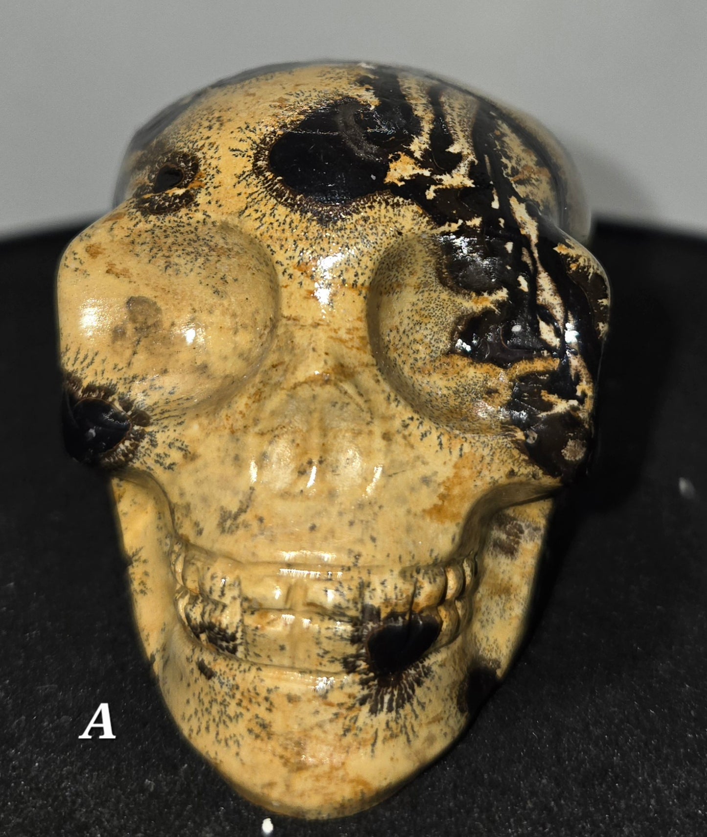Picture Jasper Skull A
