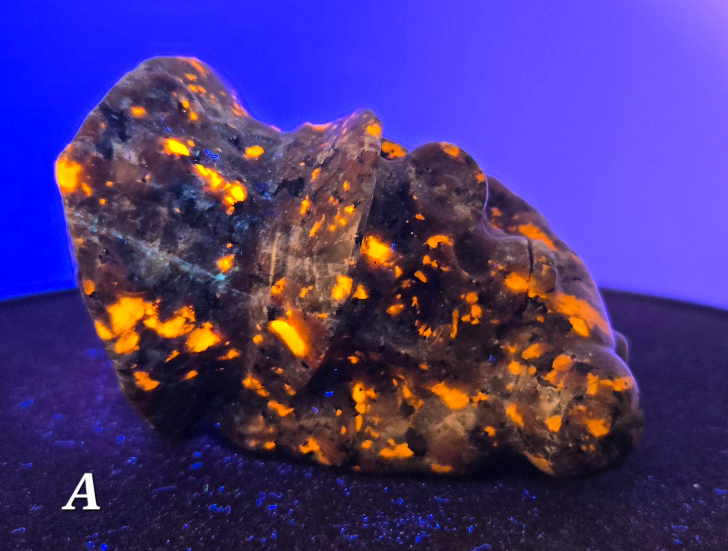 Pirate Skull in Skeletal Hand