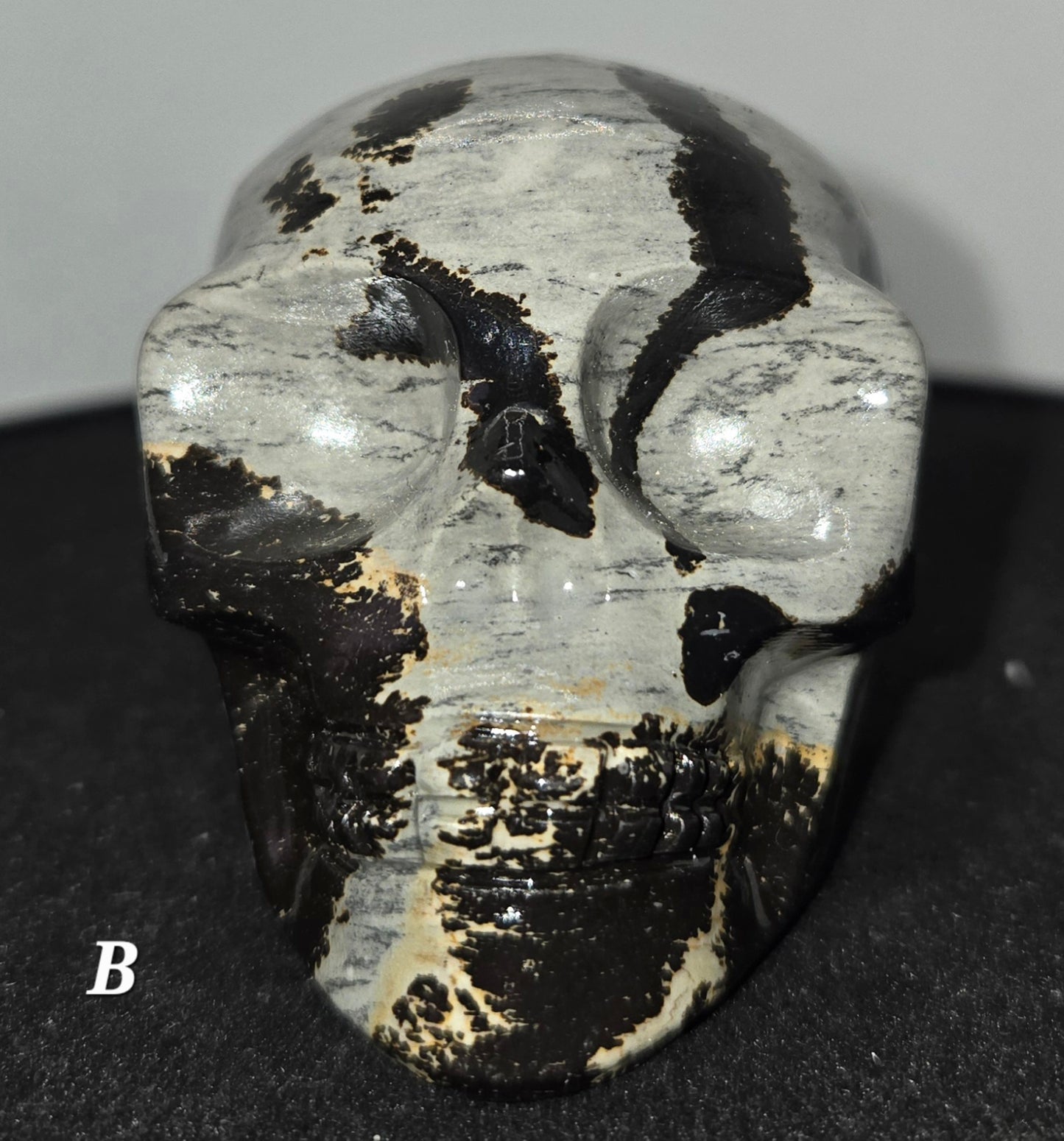 Picture Jasper Skull B