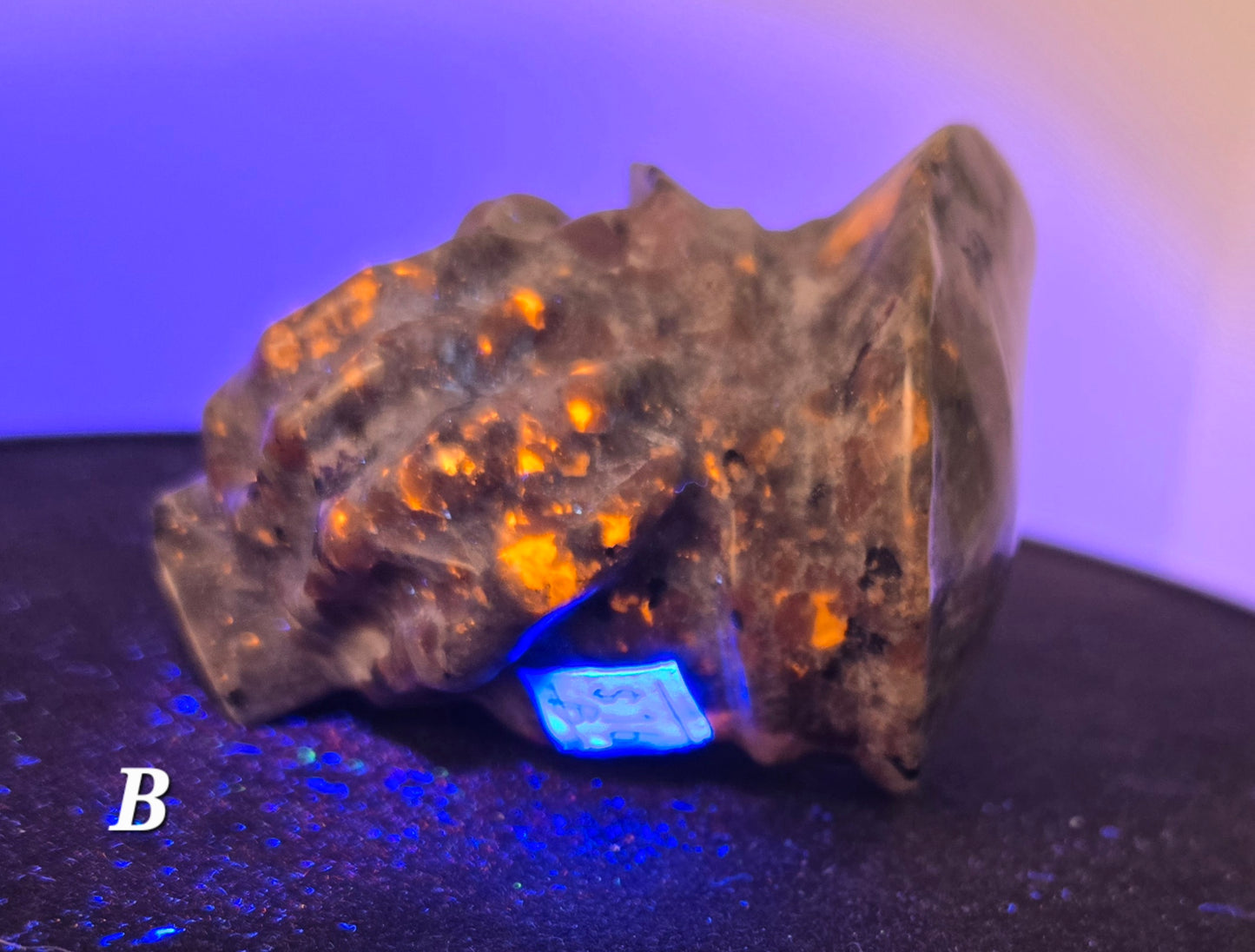 Pirate Skull in Skeletal Hand