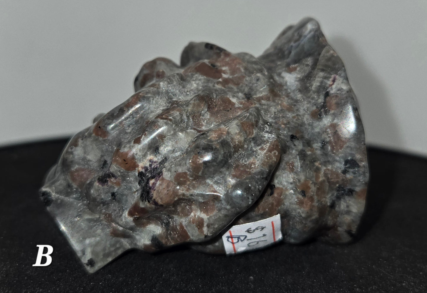 Pirate Skull in Skeletal Hand