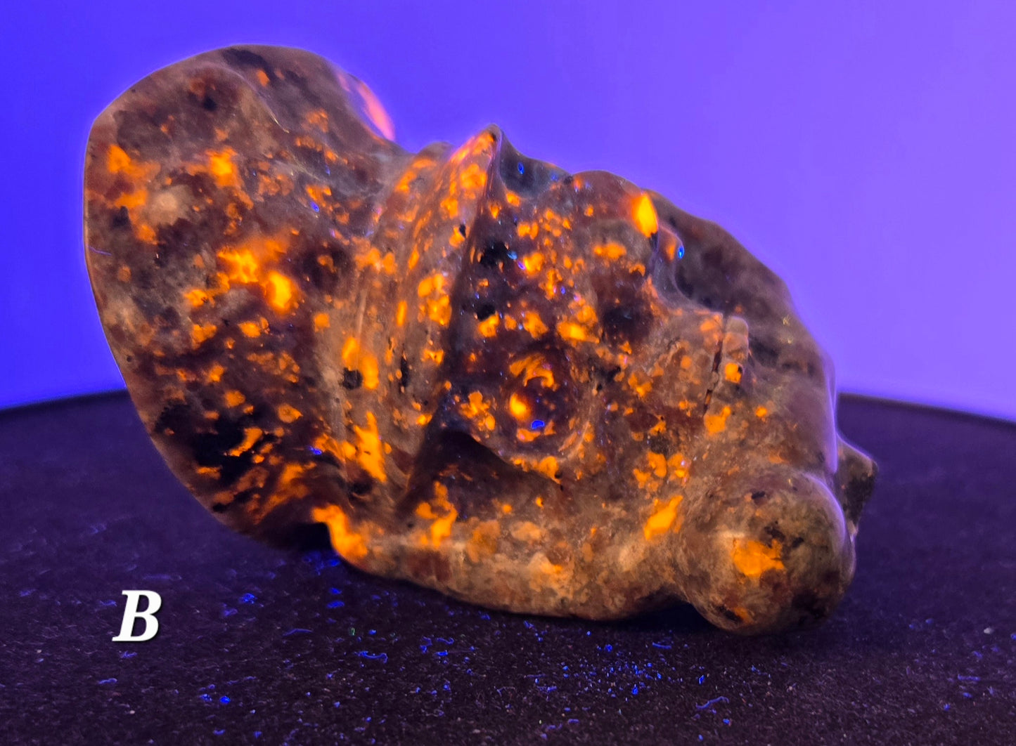 Pirate Skull in Skeletal Hand