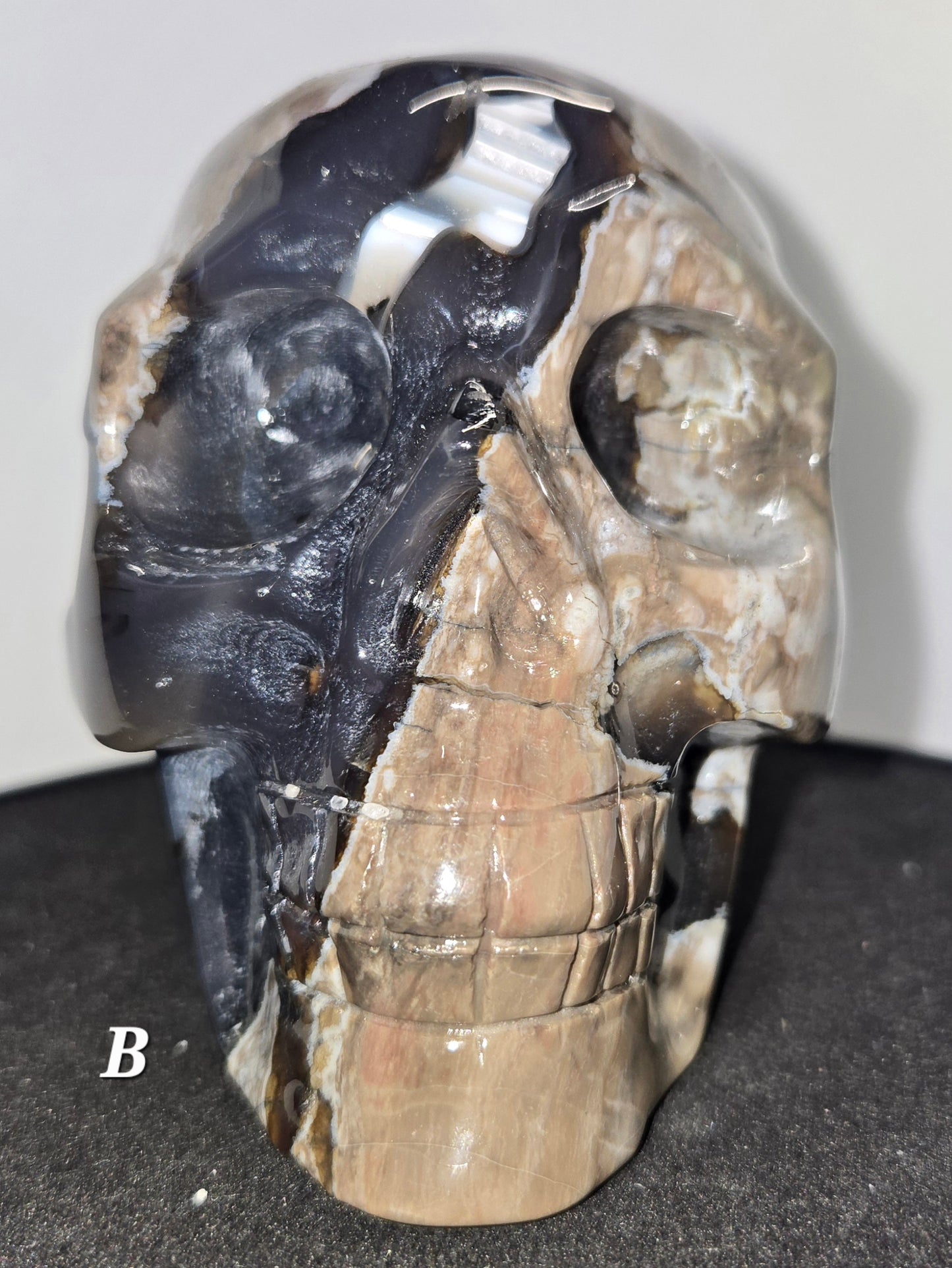 Volcanic Agate Skull B