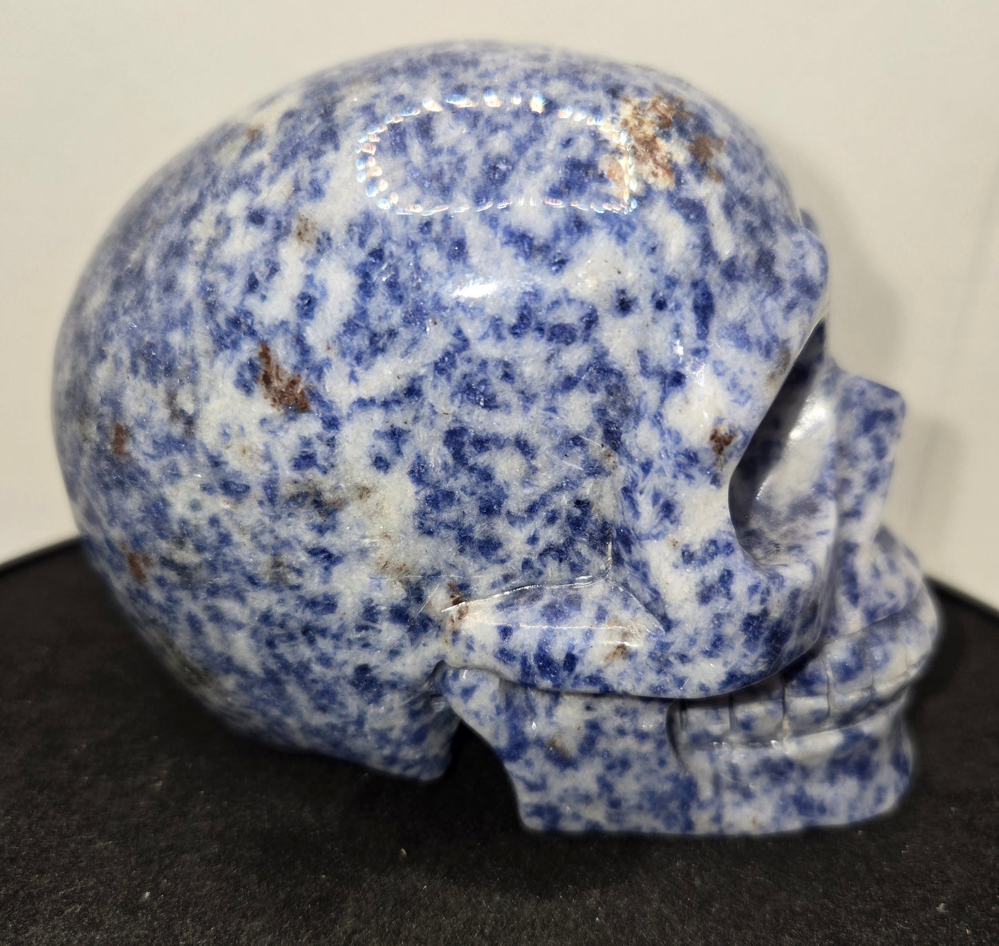 Blue Spot Jasper Skull