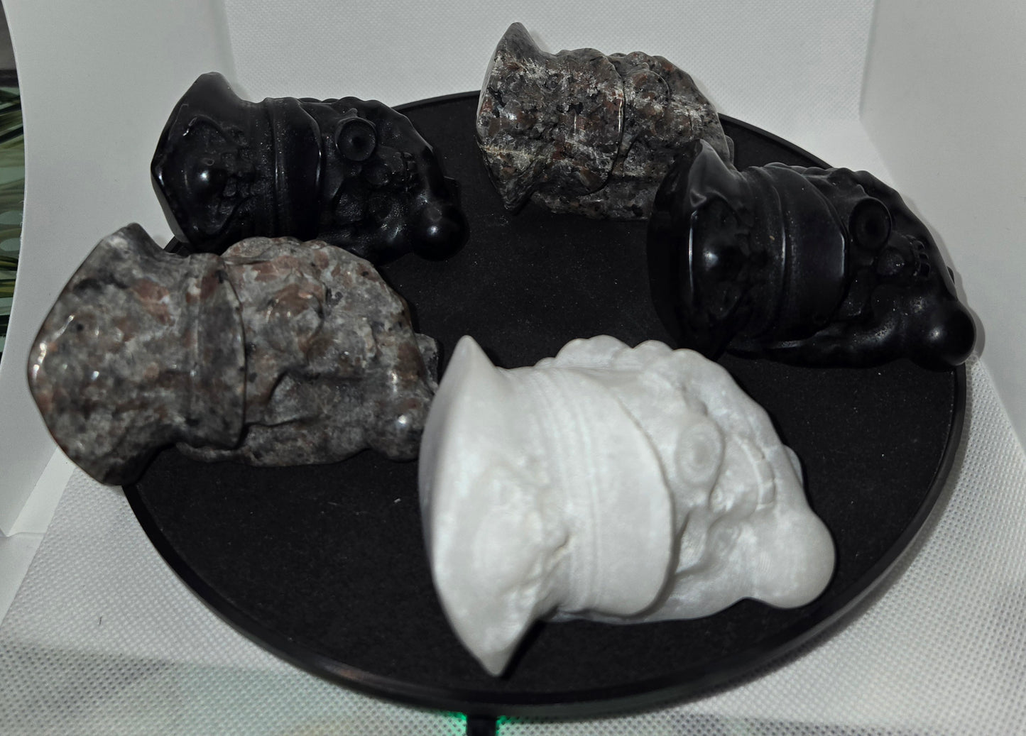 Pirate Skull in Skeletal Hand