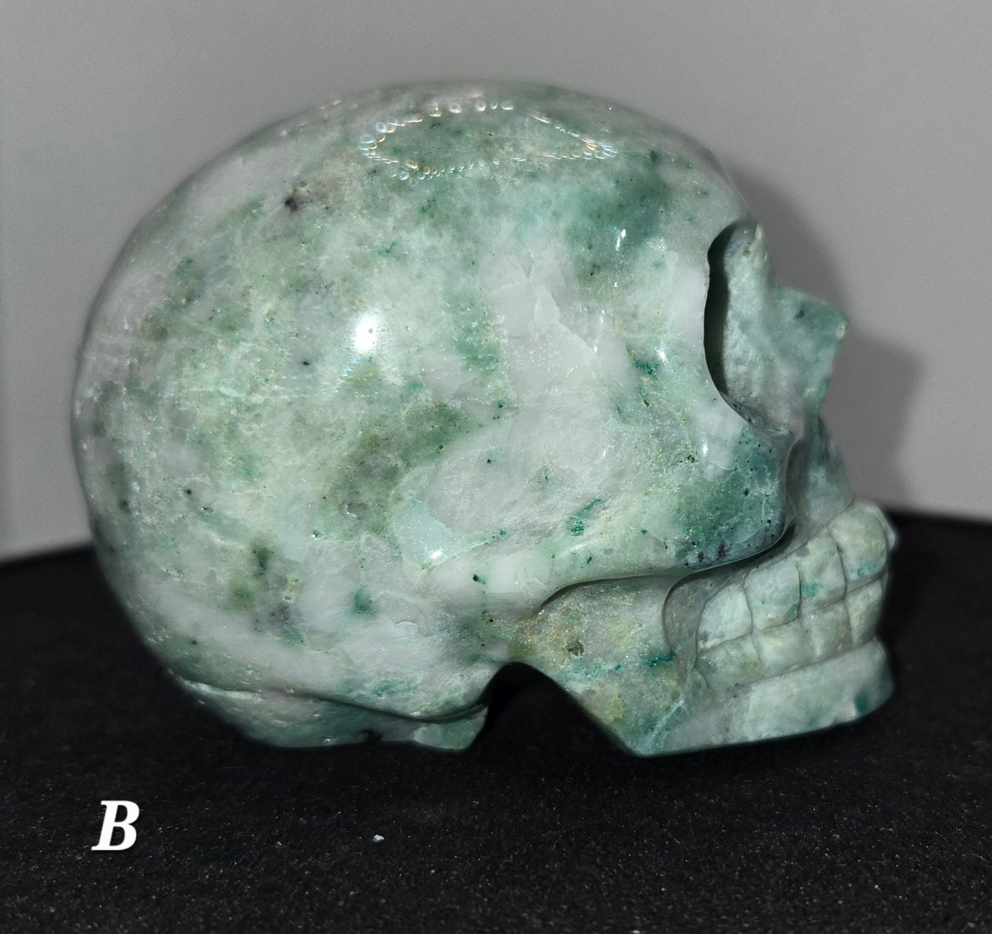 Phoenix Stone Skull B